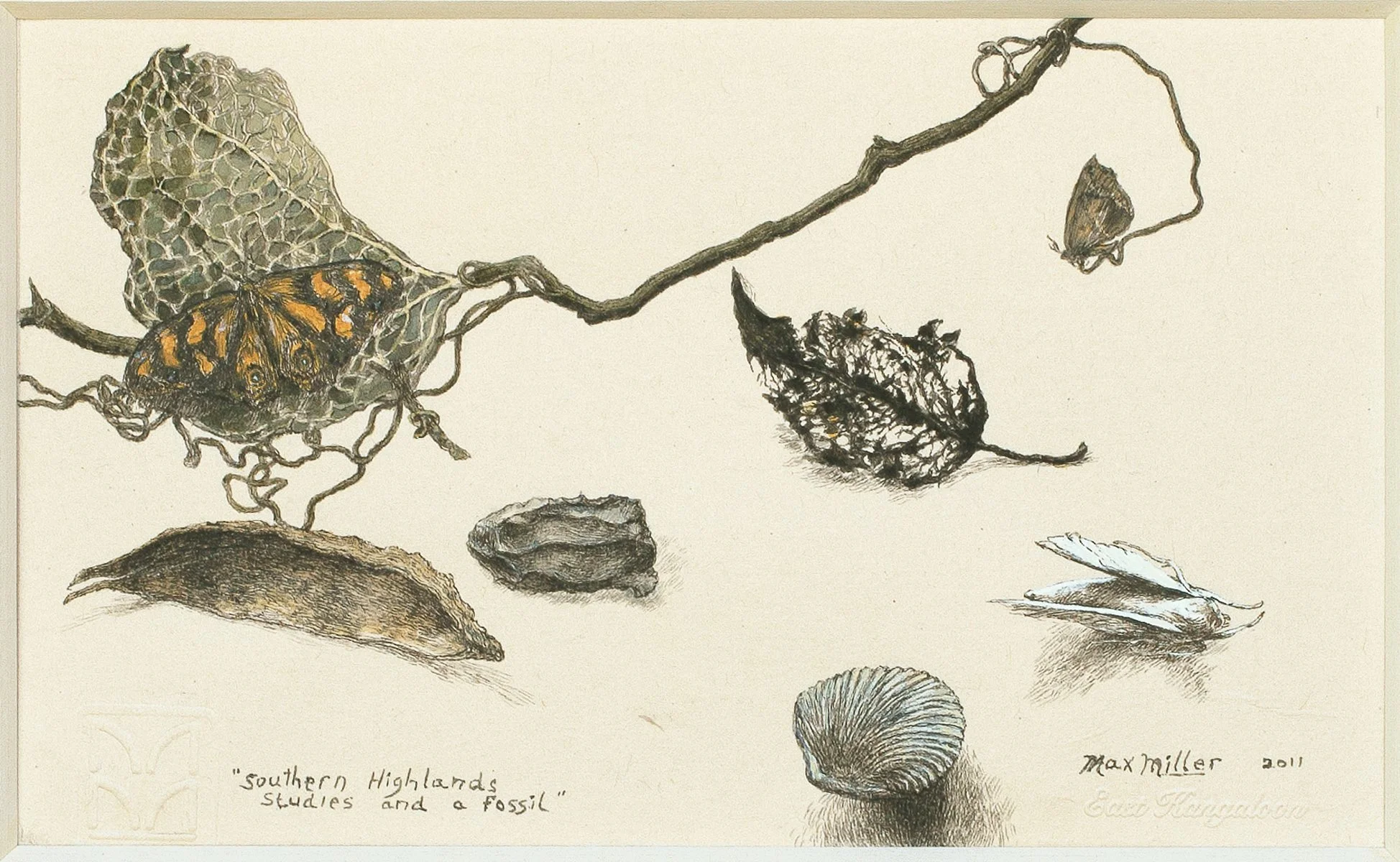 MAX MILLER | Southern Highlands studies and a fossil 2011