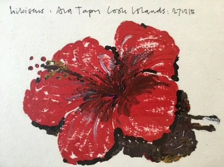 DAVID HOLM | Hibiscus: Ara Tapu Cook Islands