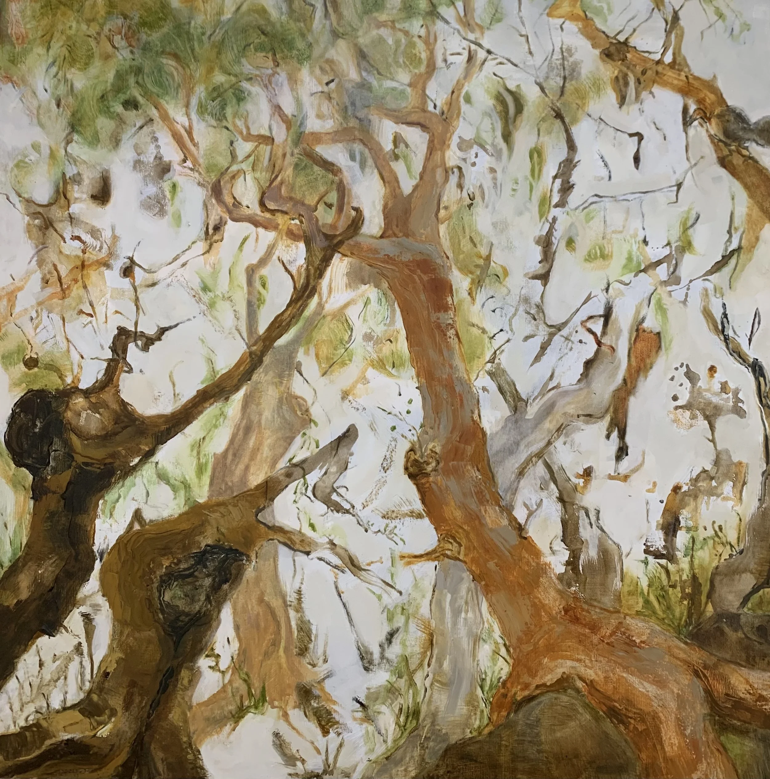 Michelle Belgiorno | Nature’s Struggle