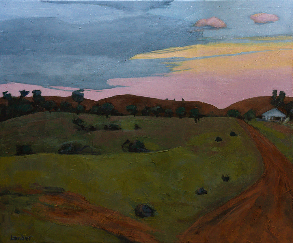 JANIS LANDER | Cloud form
