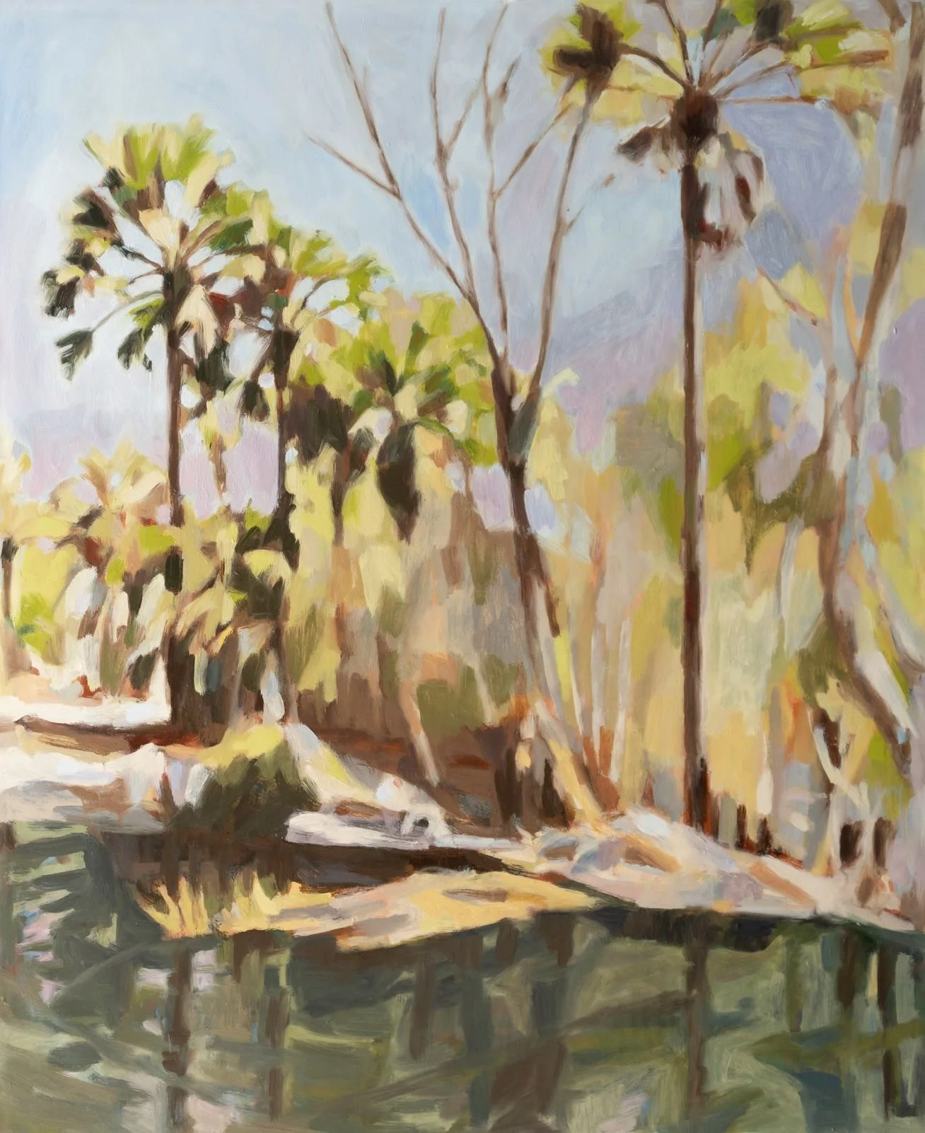 NICK FERGUSON | Palms and dead tree