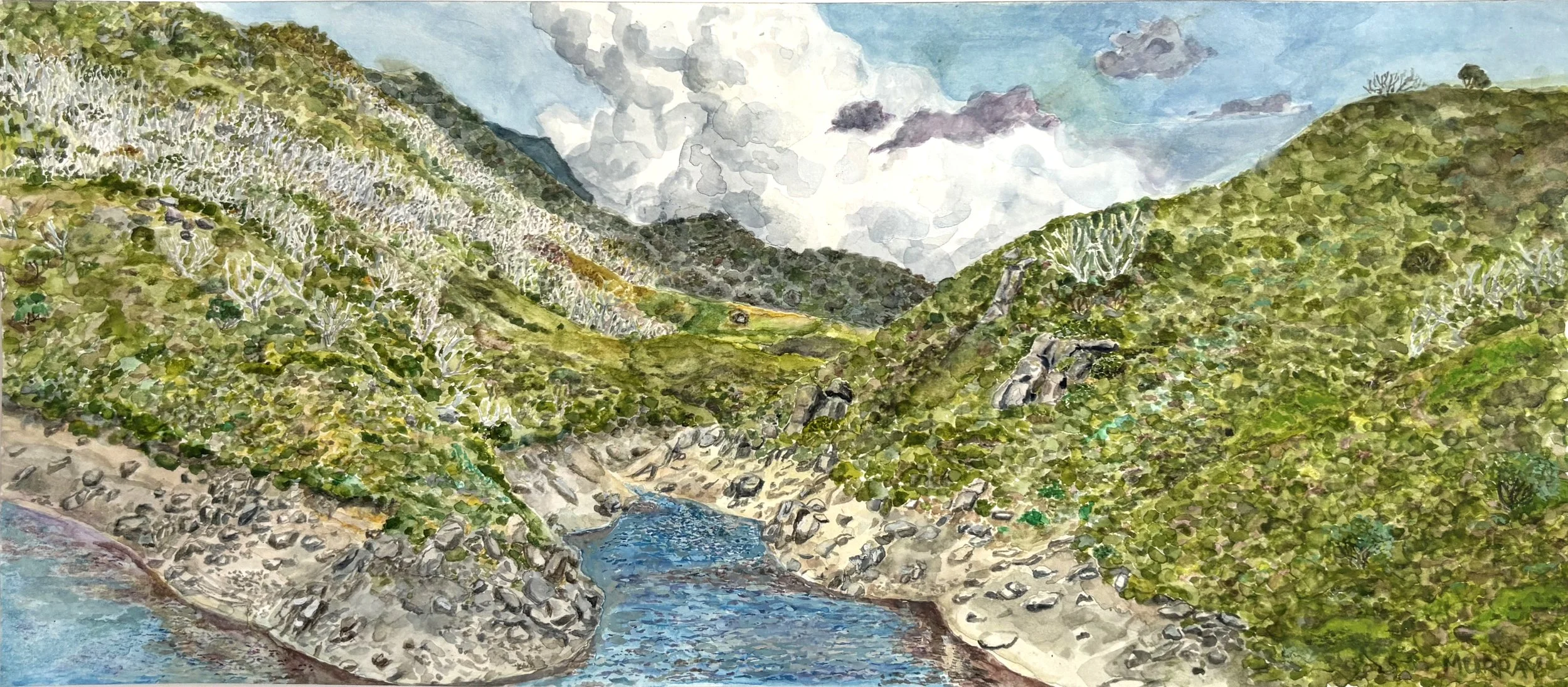 JOHN MURRAY | Guthega Pond, Monaro Ngarigo Country