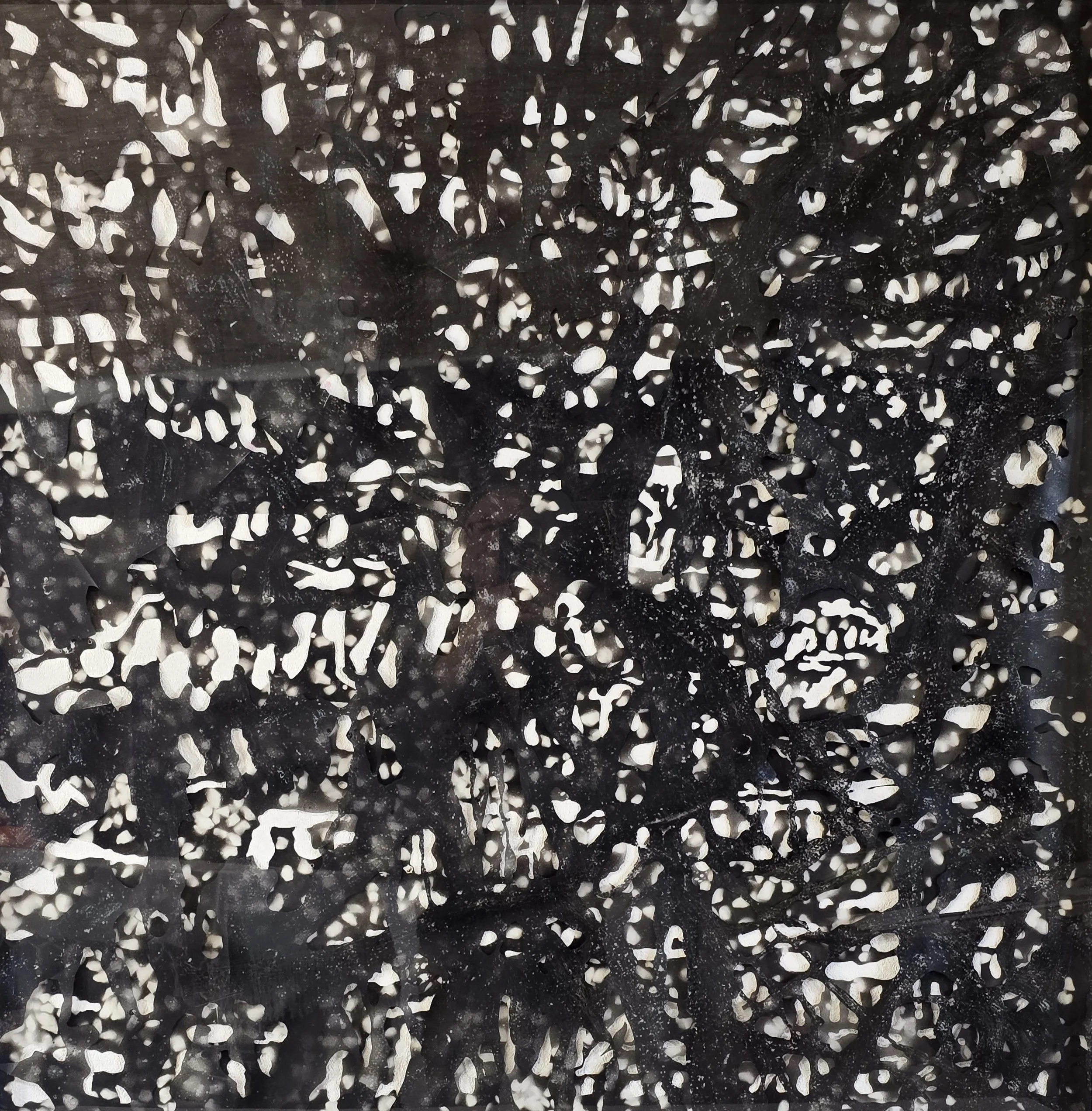 ANDREW TOMKINS | In Search of Eurydice