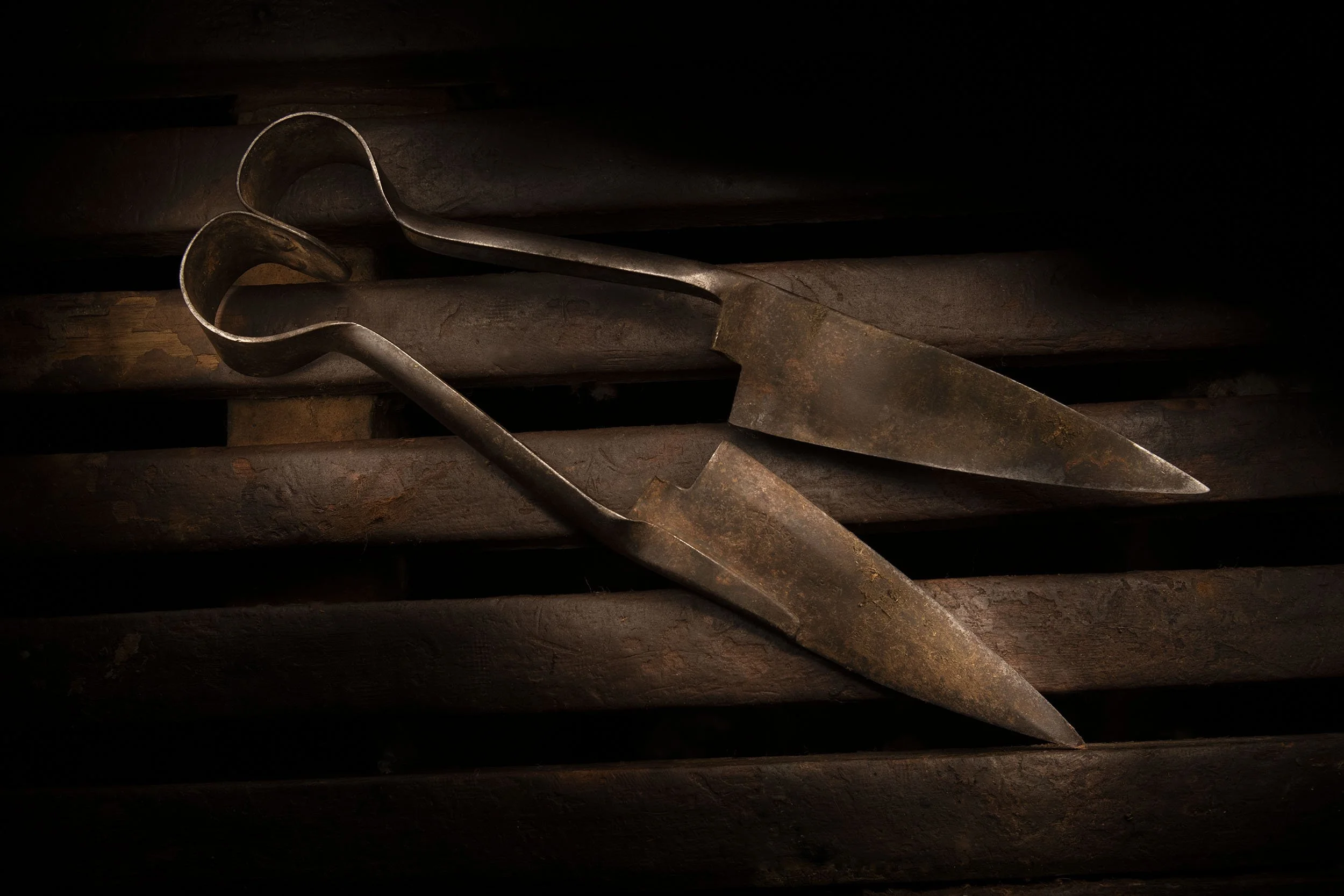 PETER SOLNESS | THE SHED #18 Hand Shears, Purcell Park NSW, 2024