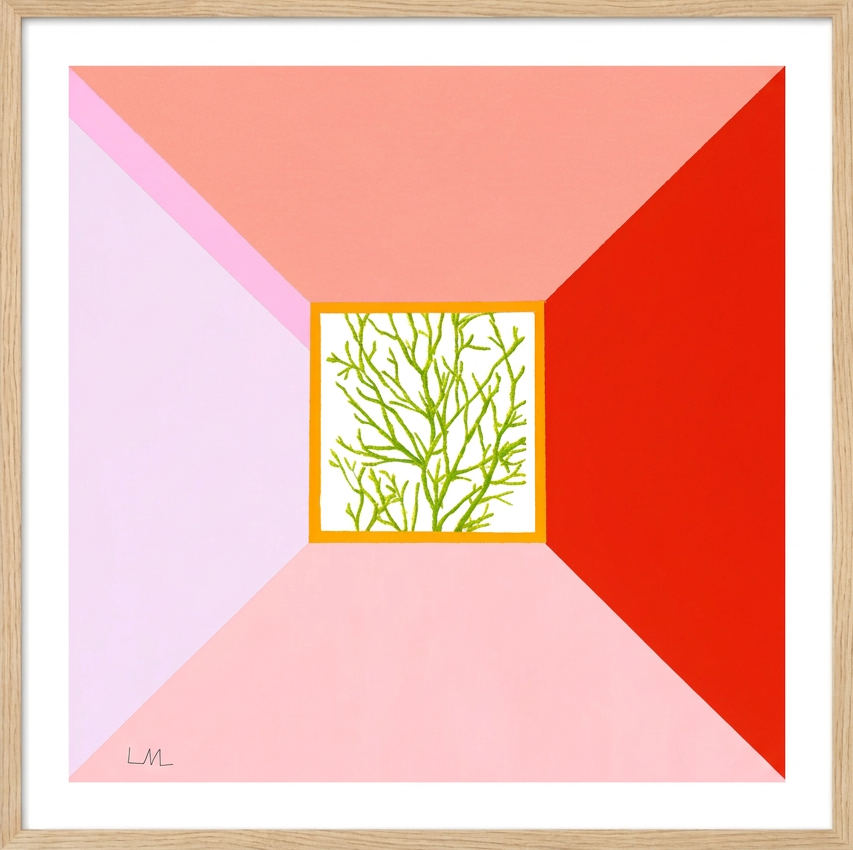 Lucy Moloney | A New Day