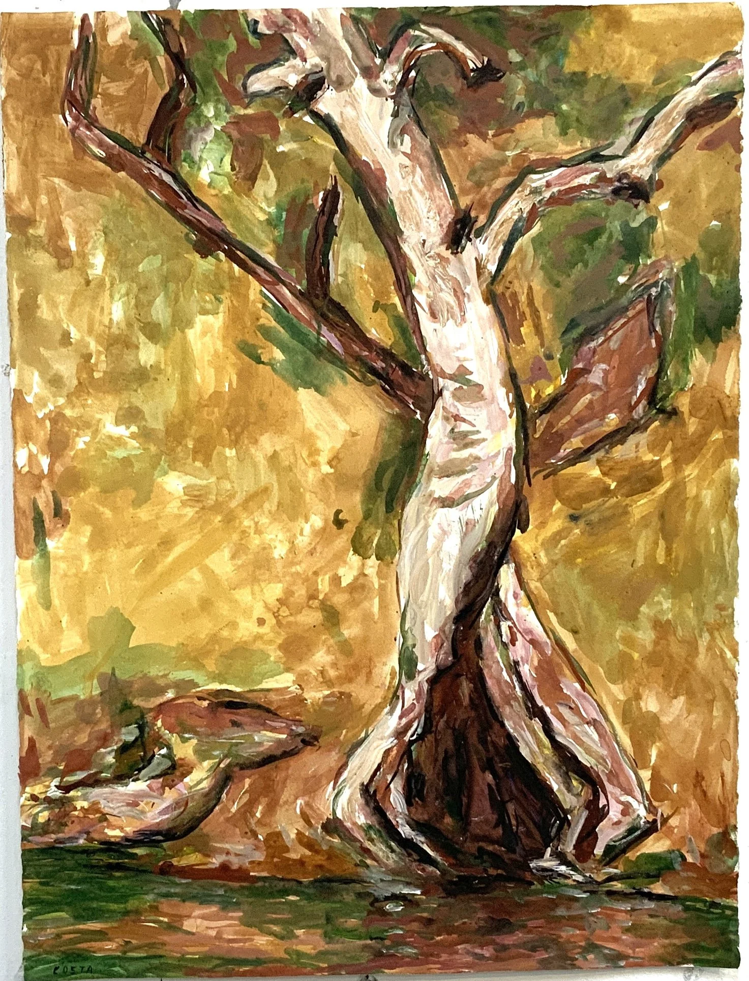 Tony Costa_Angophora No 15.jpg