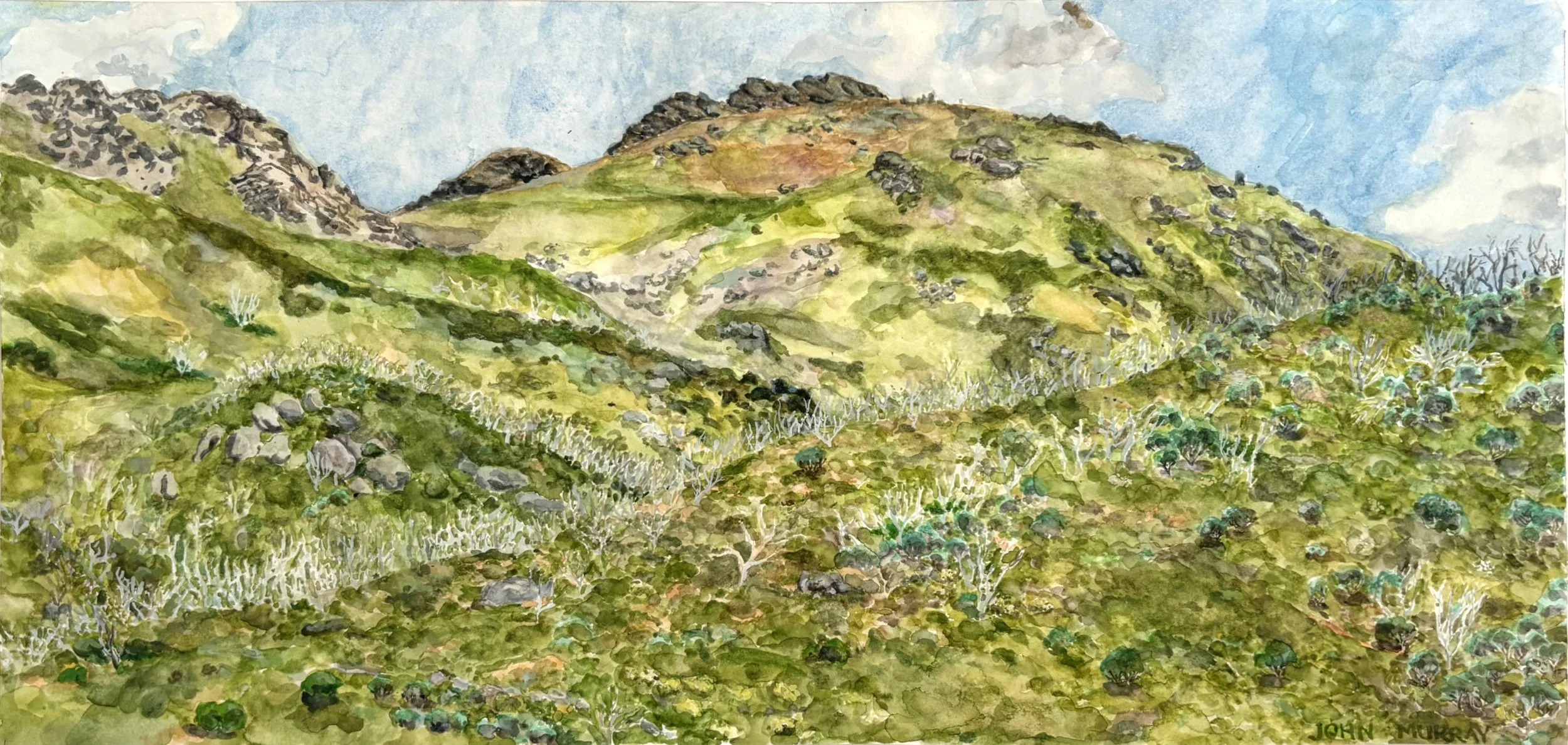 JOHN MURRAY | Guthega, Monaro Ngarigo Country