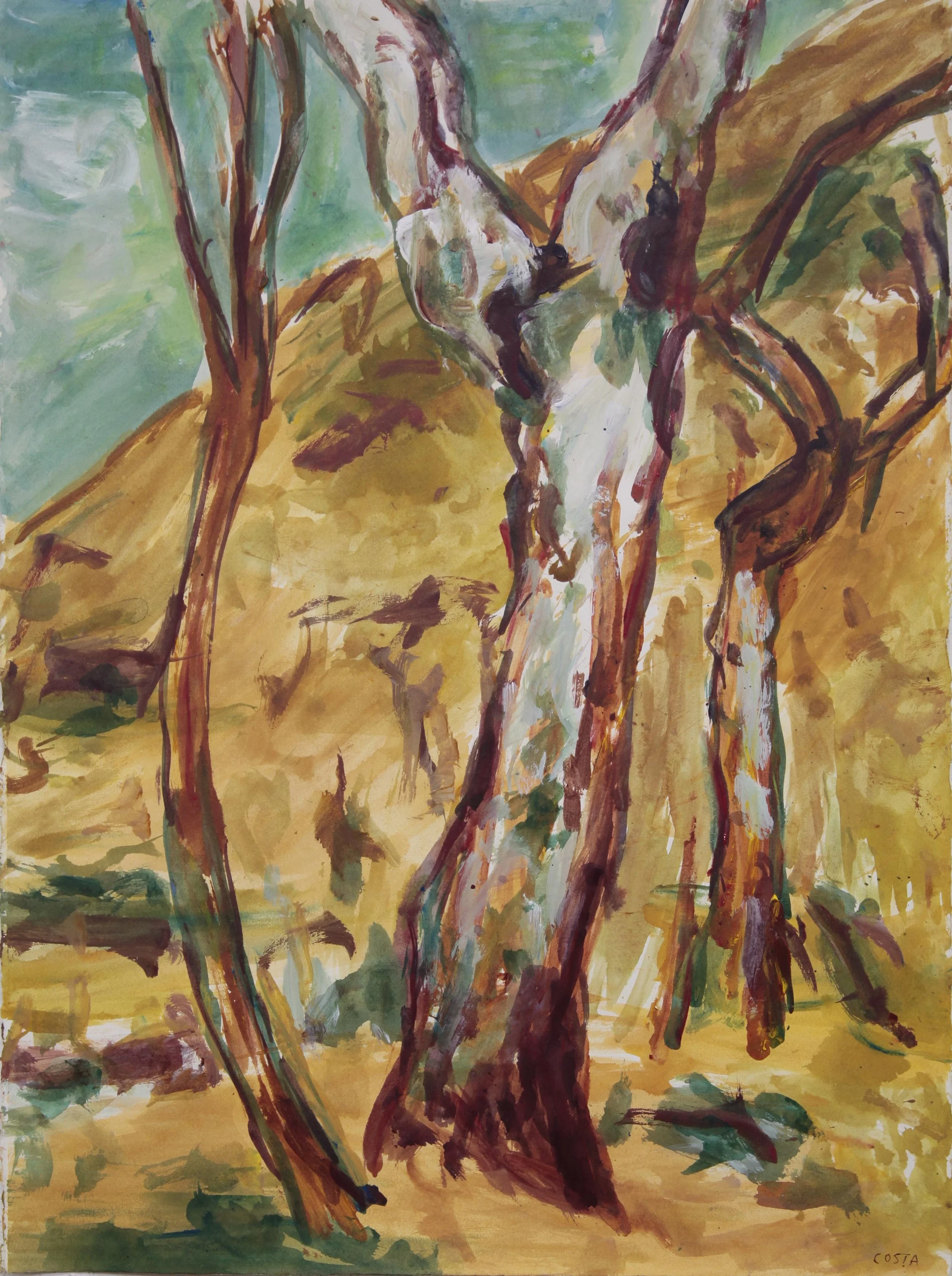TONY COSTA | Study for Warumbul 1