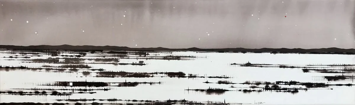 DAVID MIDDLEBROOK | Moonlight and Desert, Central Australia