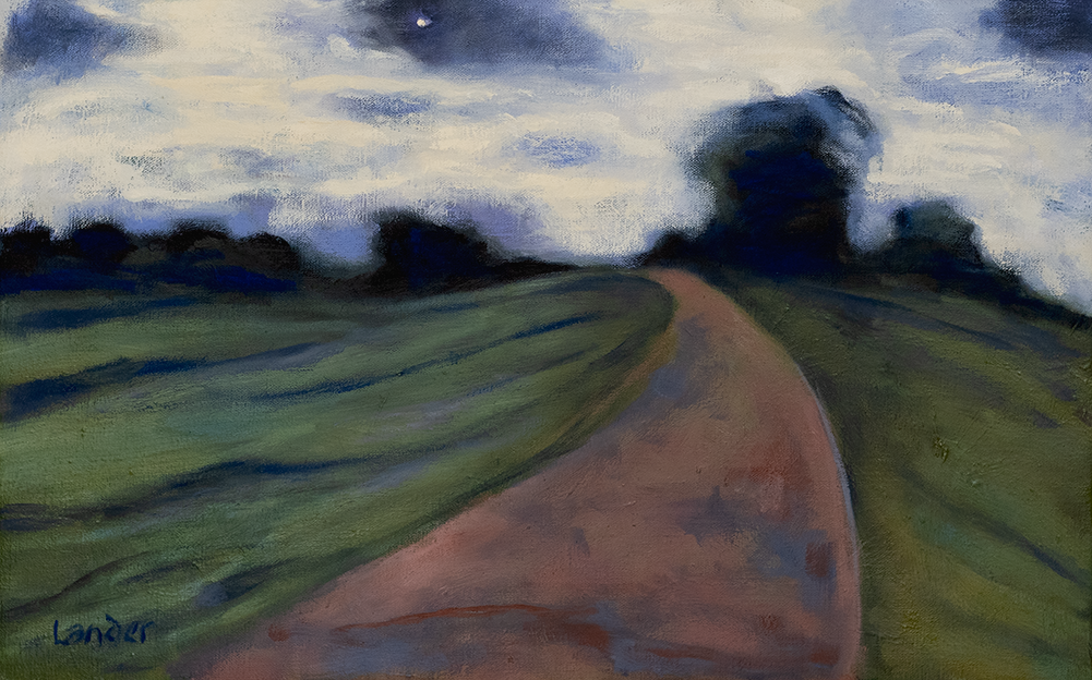 JANIS LANDER | Evening star