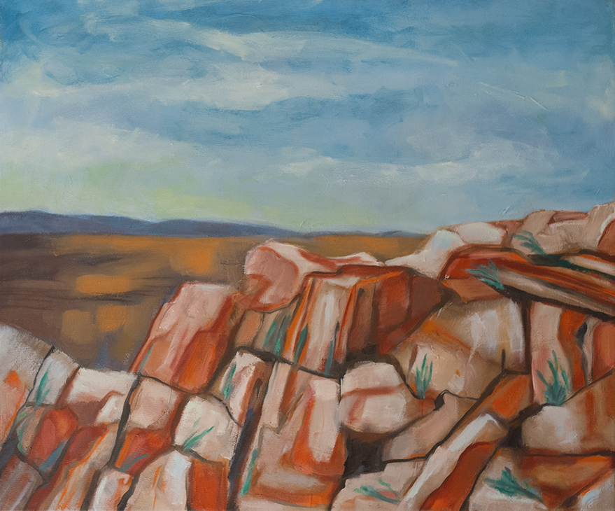 JANIS LANDER | Leopardtree Ridge