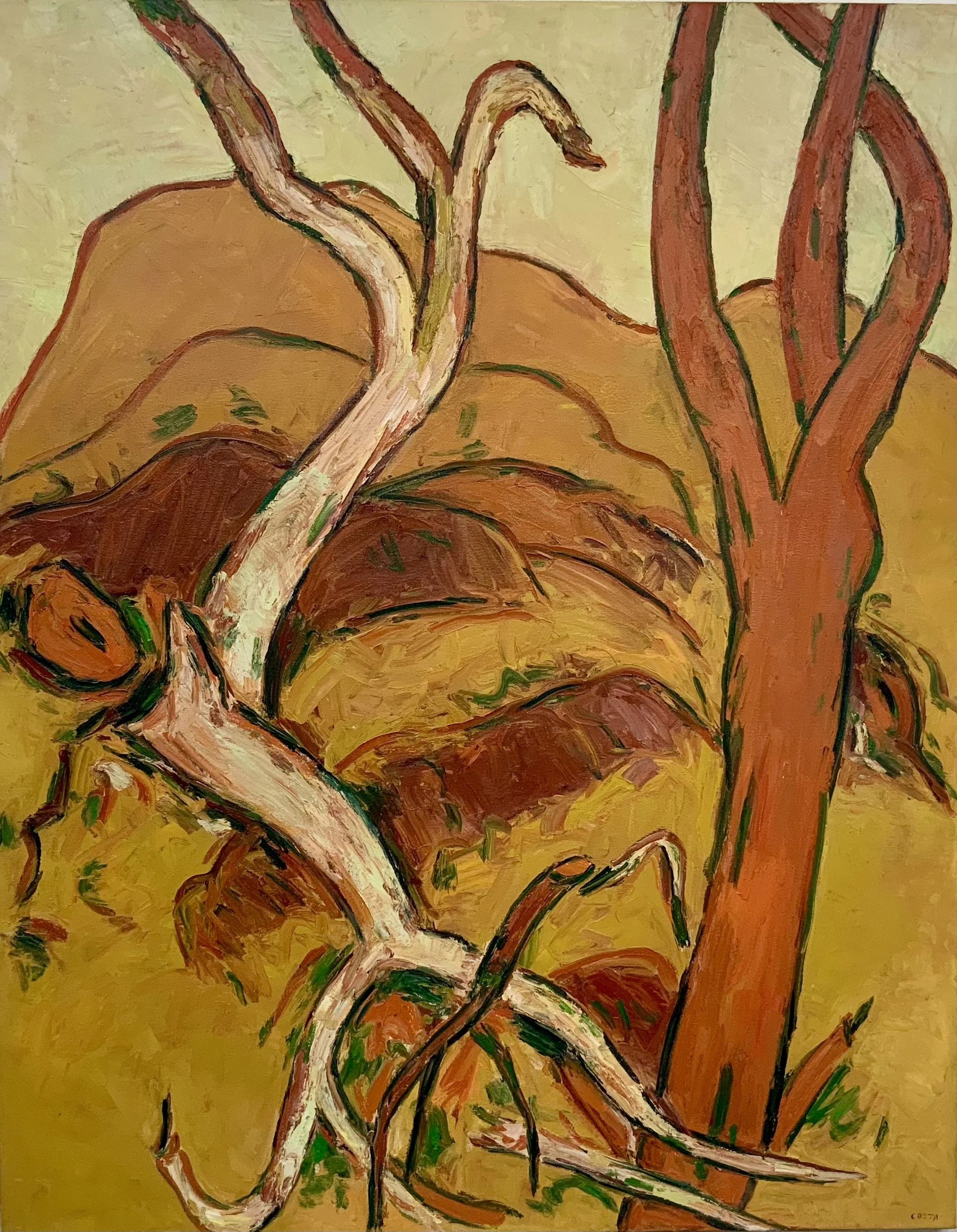 TONY COSTA | WARUMBUL FALLEN TREE No2