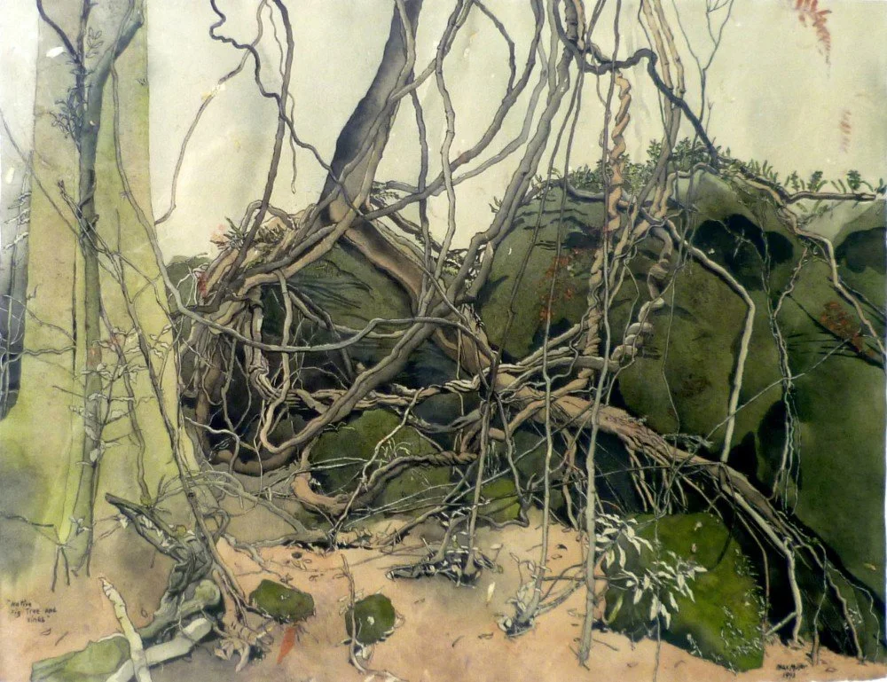 MAX MILLER | Native Fig Tree and Vine