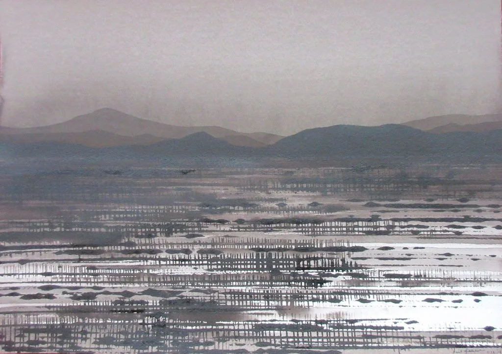 DAVID MIDDLEBROOK | Desert Nocturne