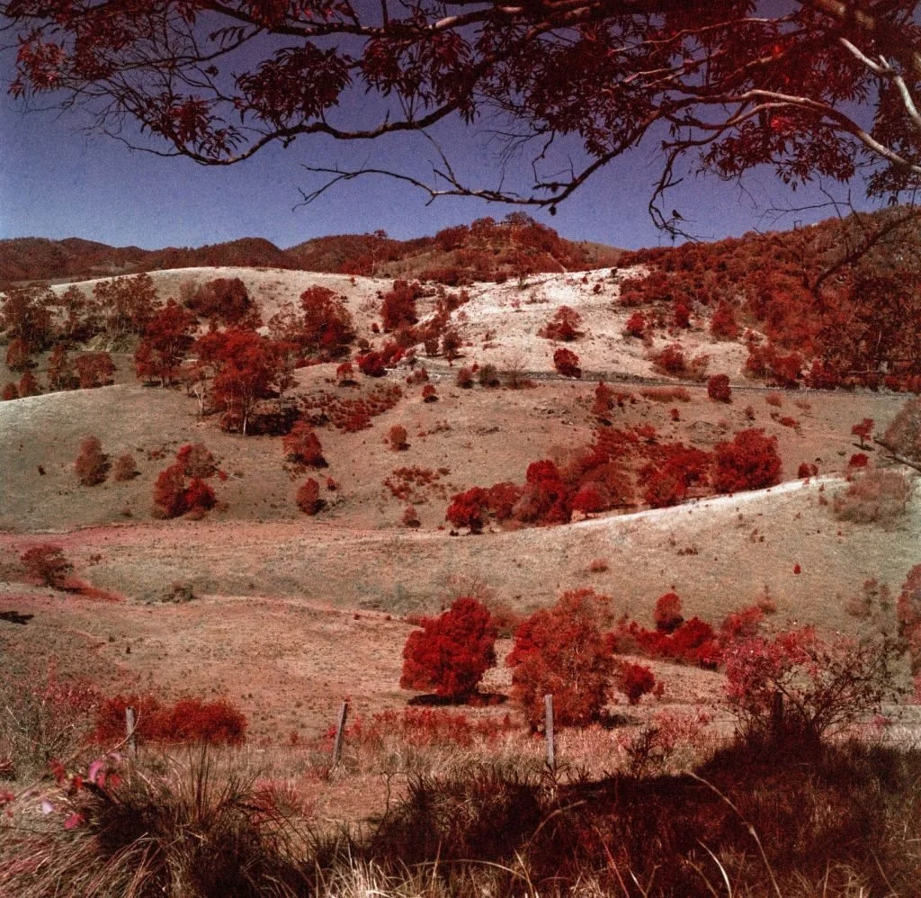 Asher Milgate | What am I to do?