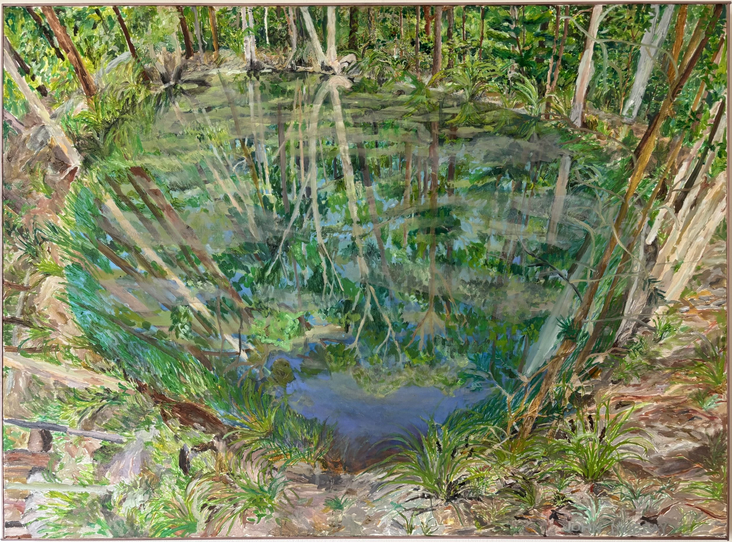 JOHN MURRAY | Beranghi Waterhole, Dunghutti Country Second Version