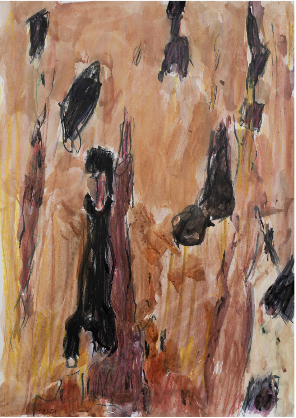 Tony Costa_Angophora No 27.png