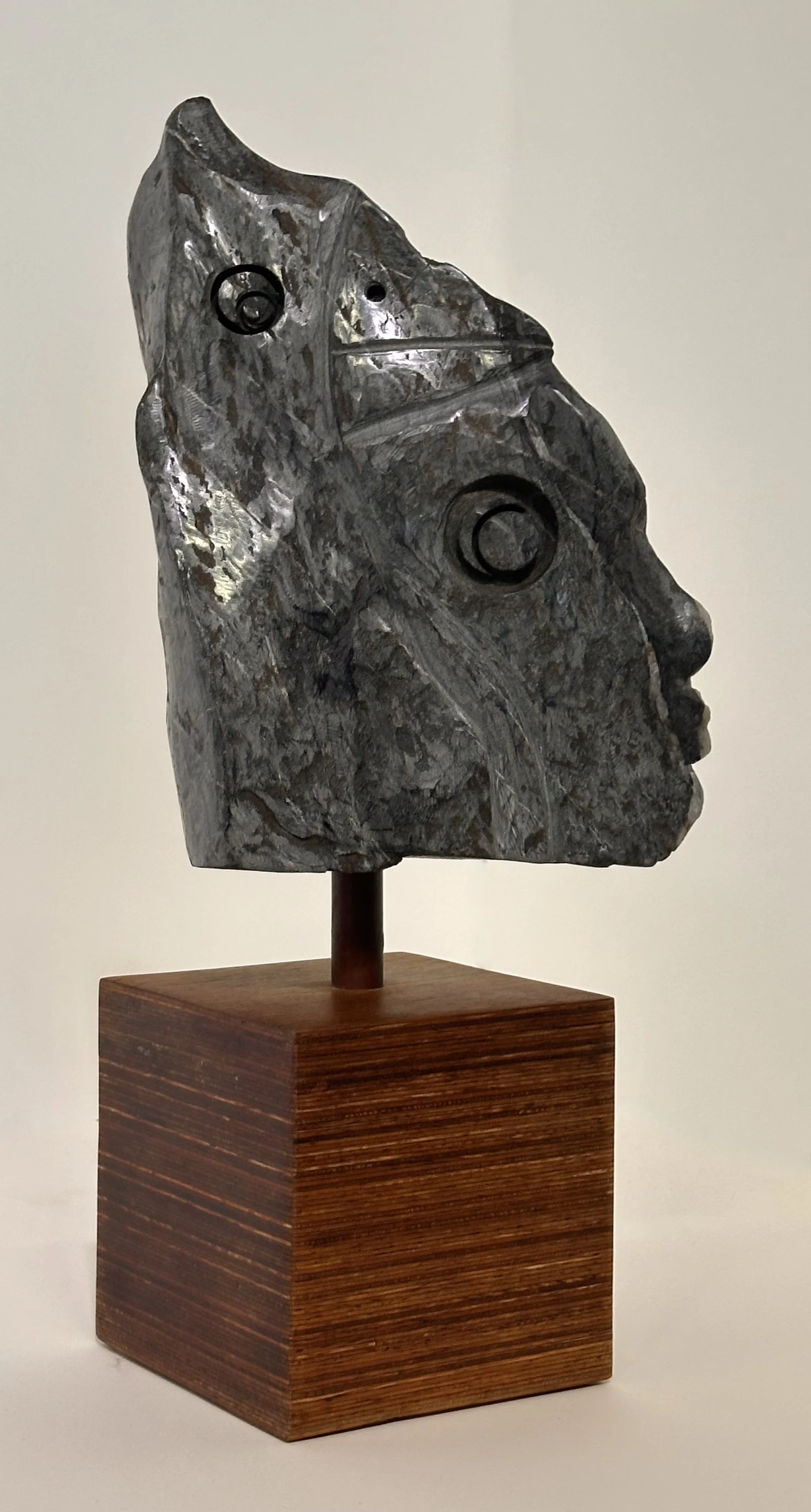 Carlos Barrios | Boy and bird 1