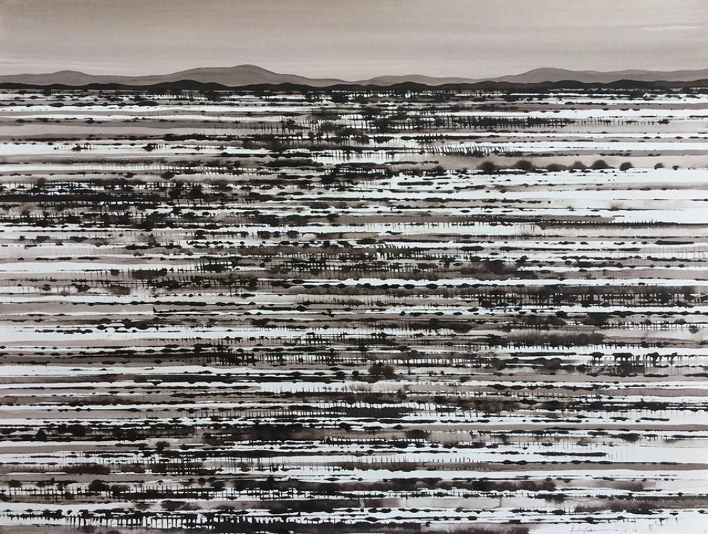 DAVID MIDDLEBROOK | Fields, North of White Cliffs