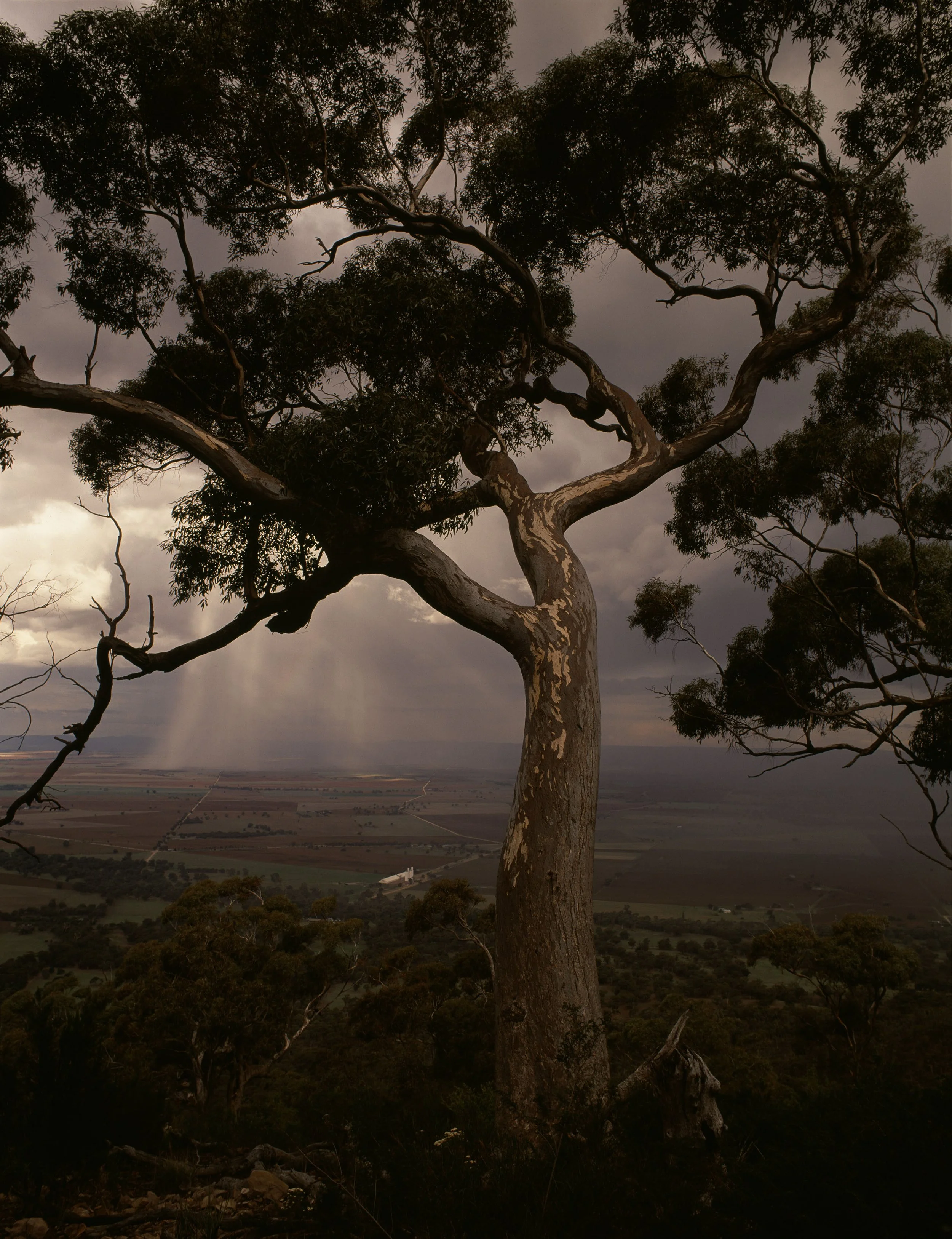 17_1998_FLINDERS_RANGES_MIDRES.jpg