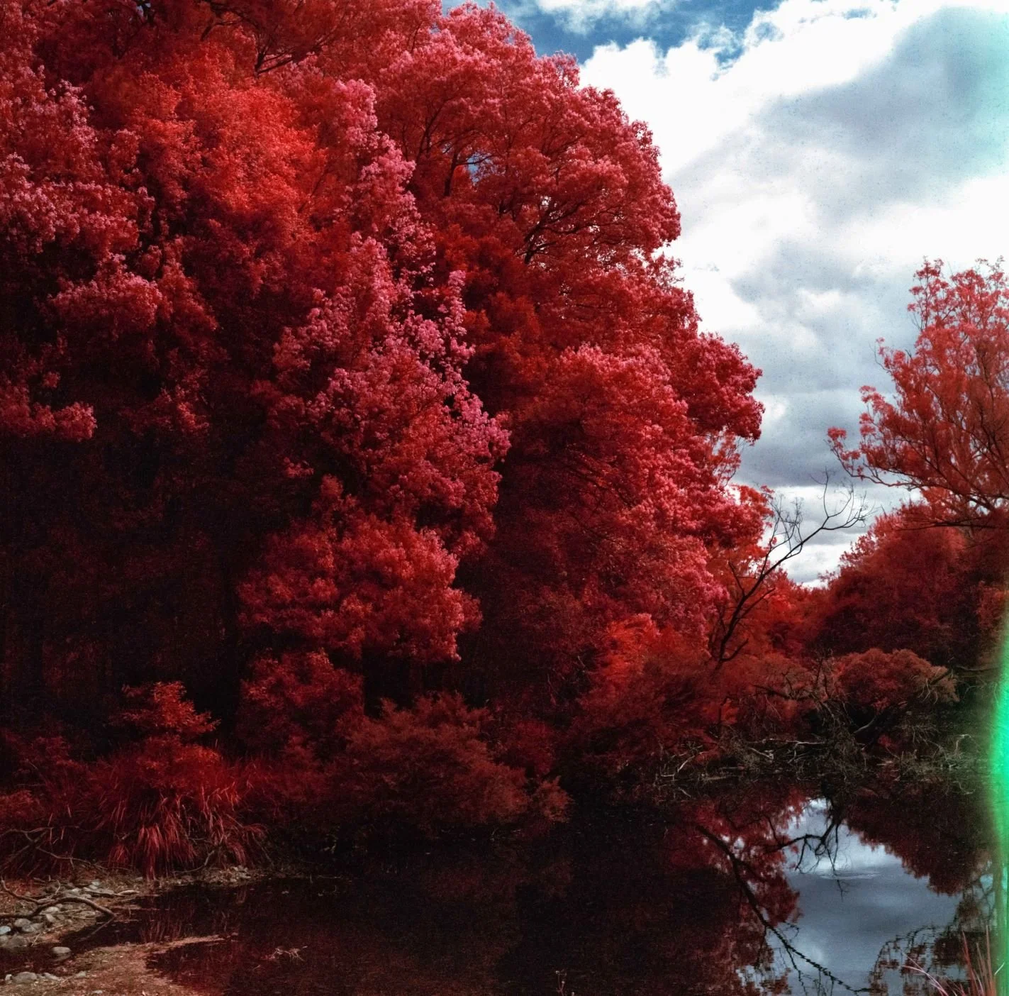 Asher Milgate | Should have Spokes lived ?