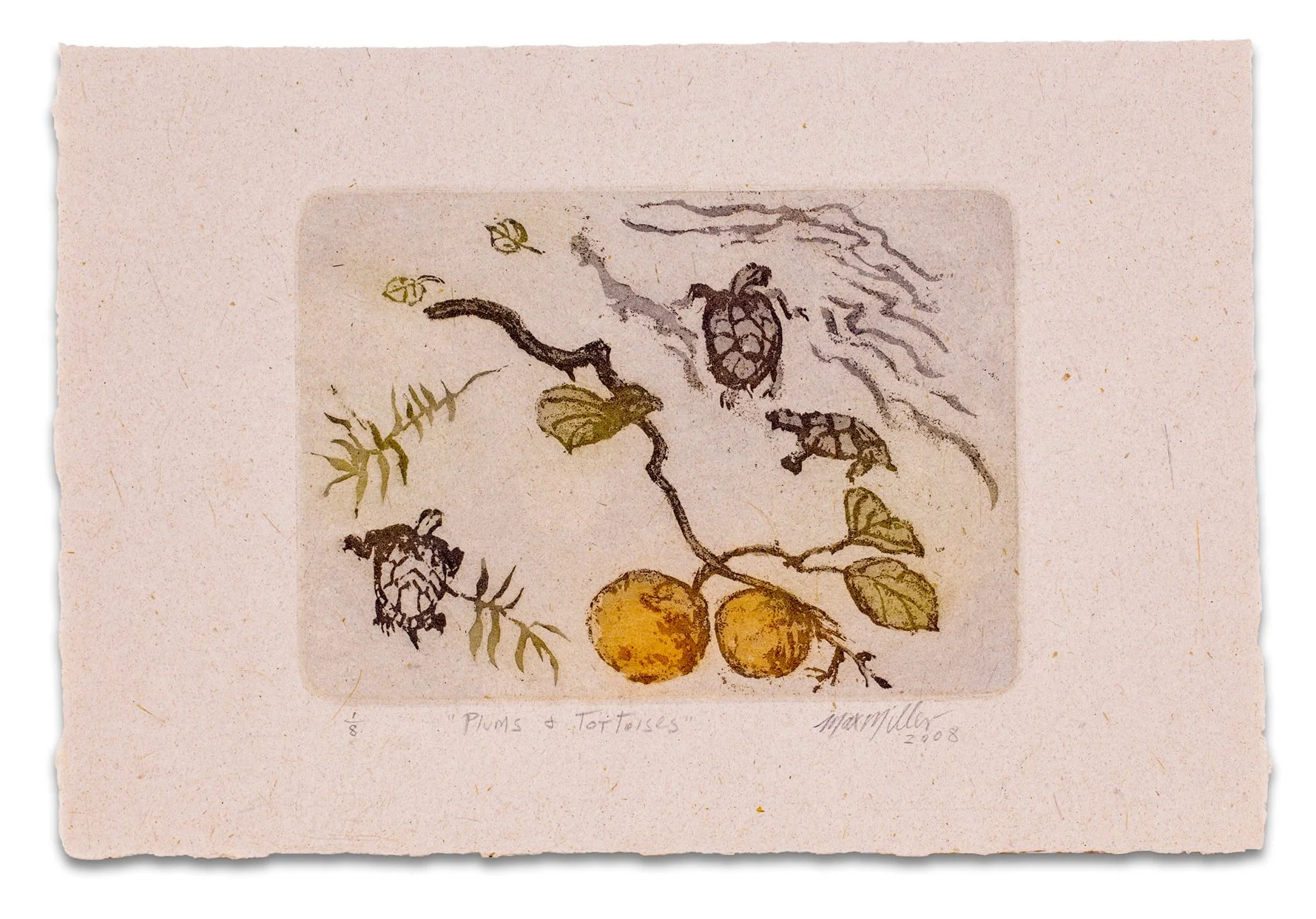 MAX MILLER | Plums and tortoise 2008