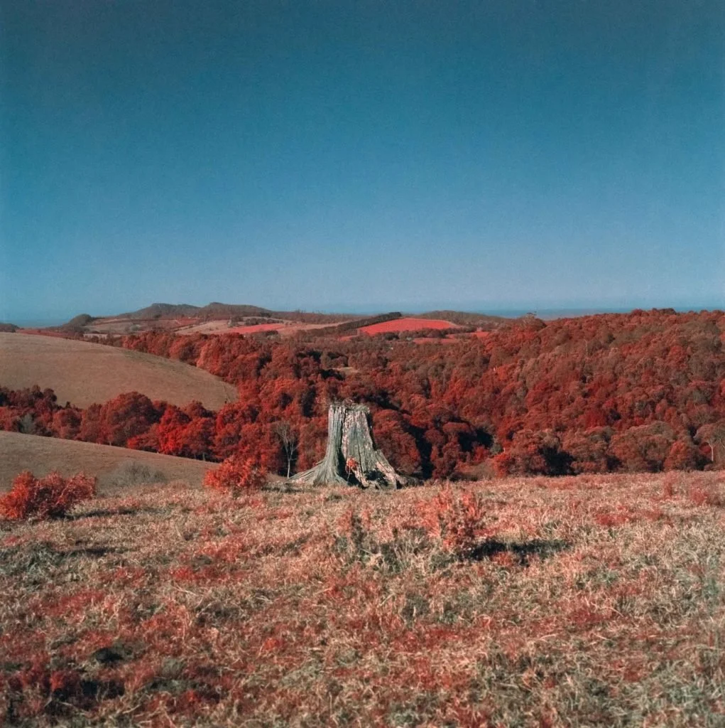 Asher Milgate | We are connected