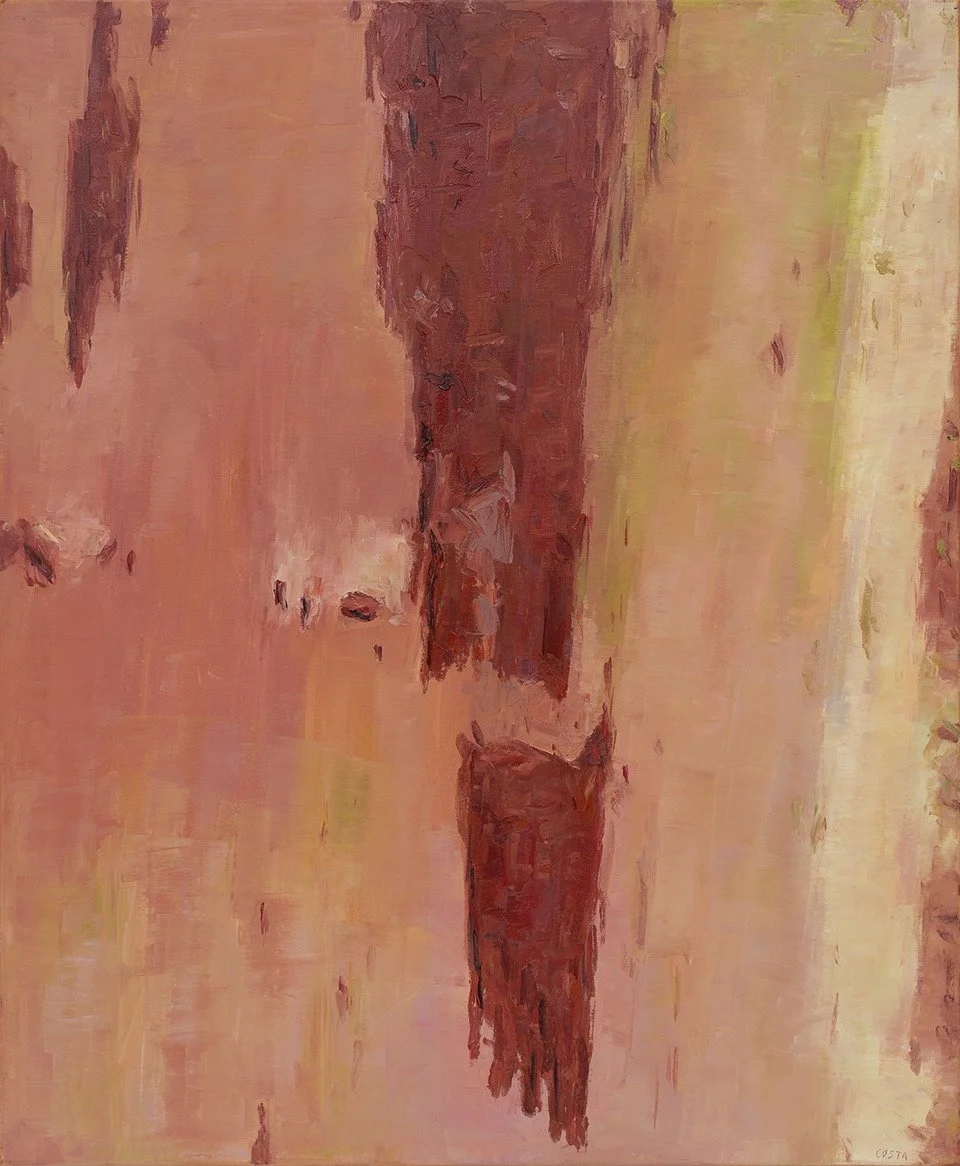 Tony Costa_Angophora No 12.jpeg