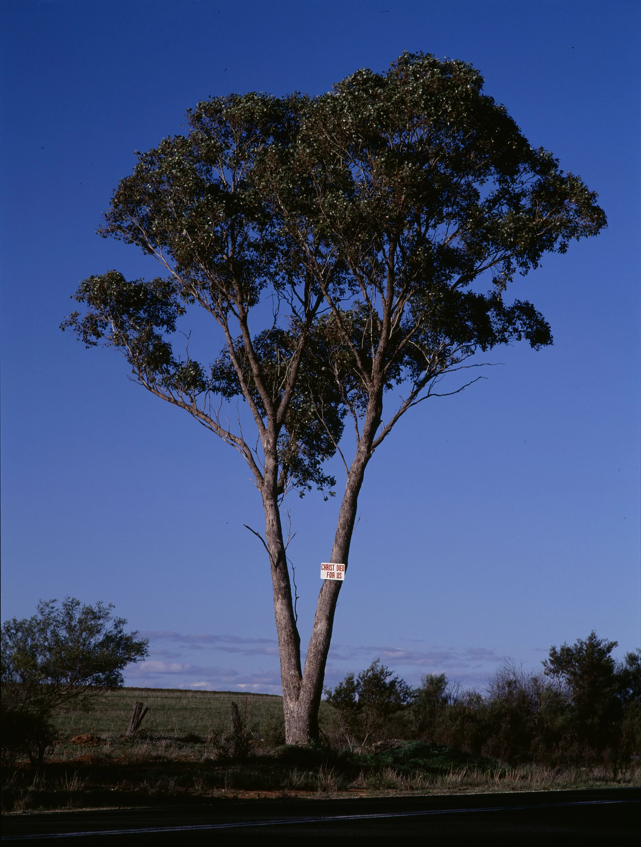 Peter Solness | The Message Tree Western NSW – 1996