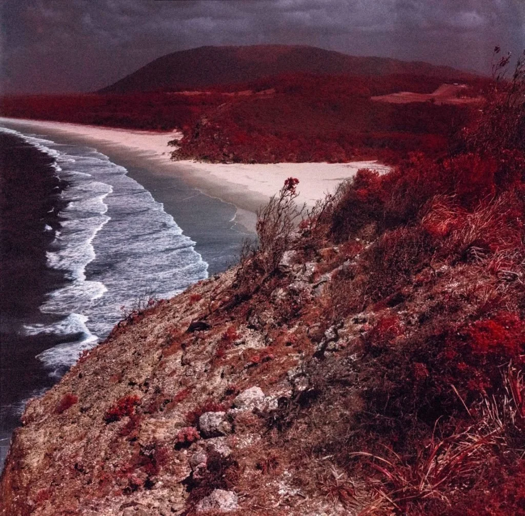 Asher Milgate | Nostalgically contemplating Cook in 2020