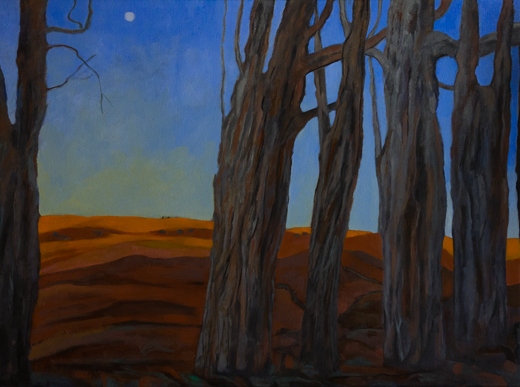 JANIS LANDER | Moonrise-Arid Country