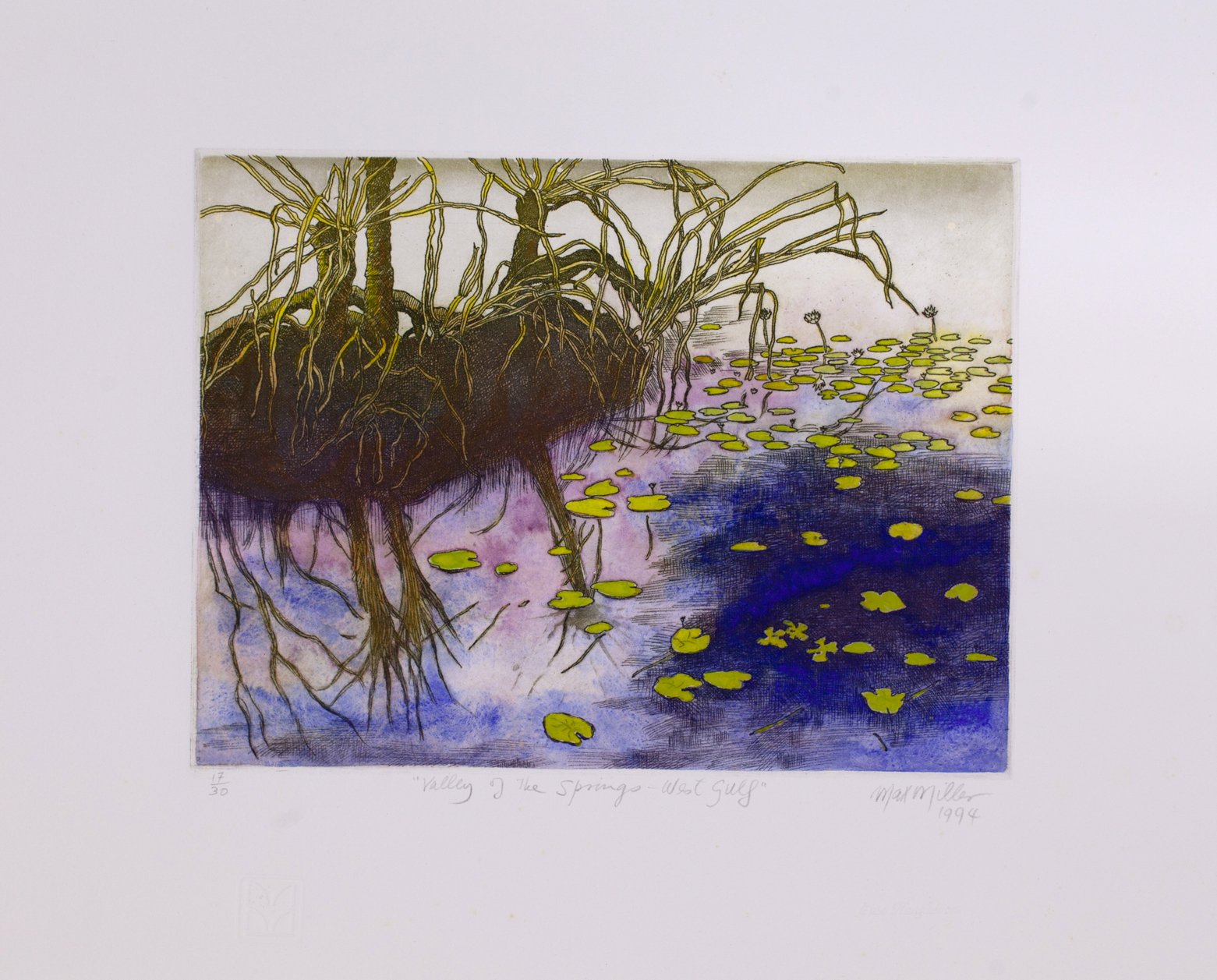 MAX MILLER | Valley of the Springs West Gulf 1994