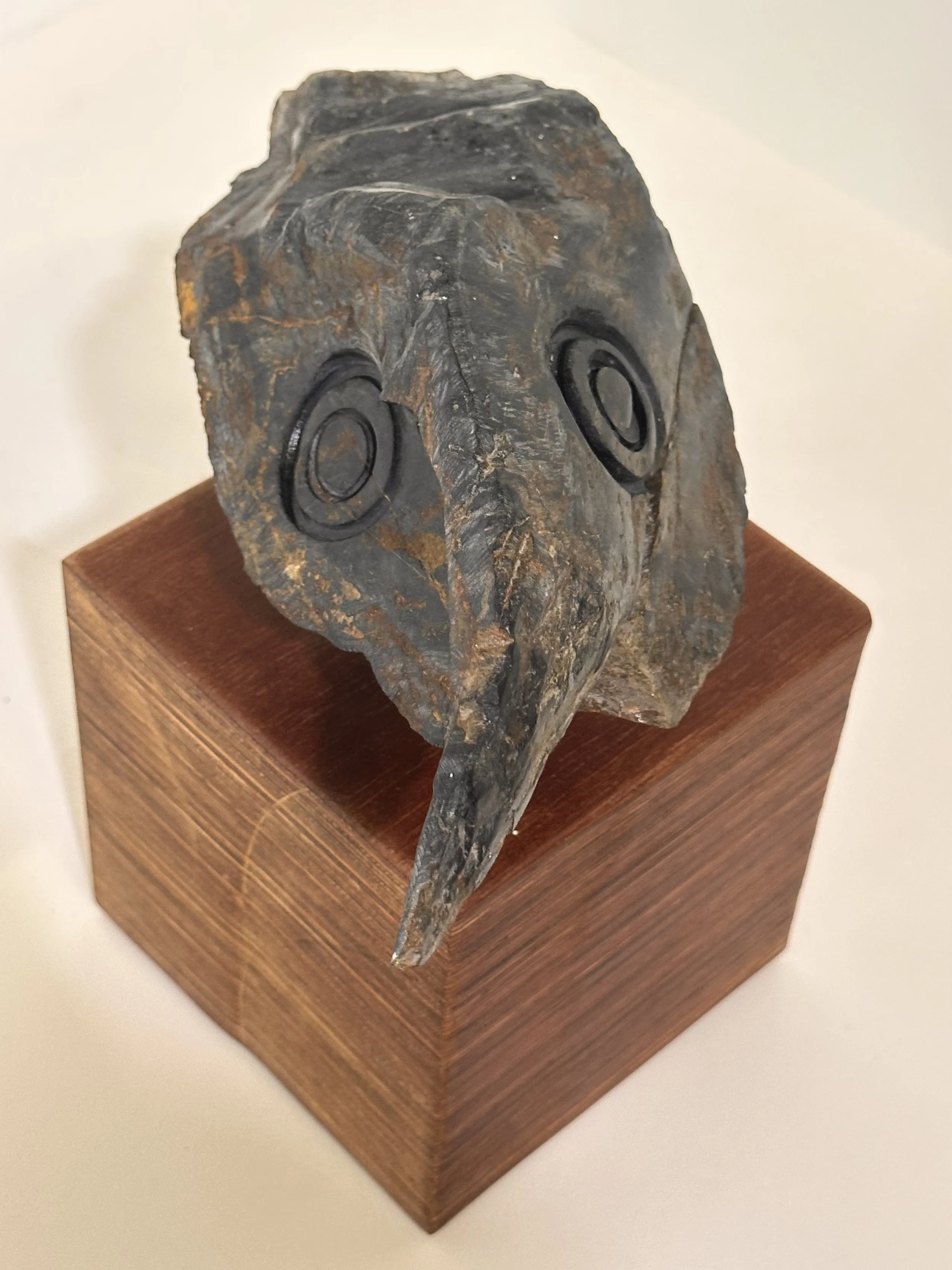 Carlos Barrios | Bird man 1