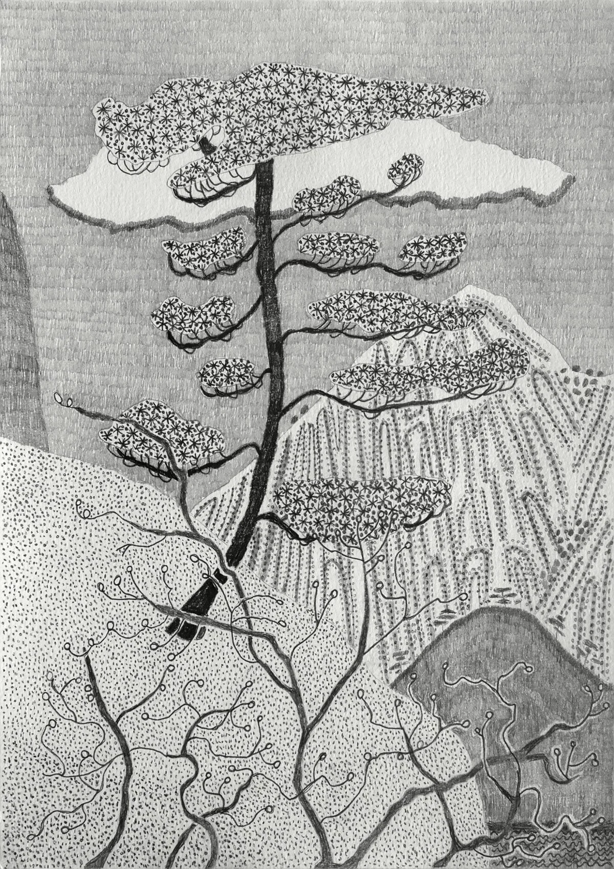 Jacqueline Balassa | Scenes from Yellow Mountain #1