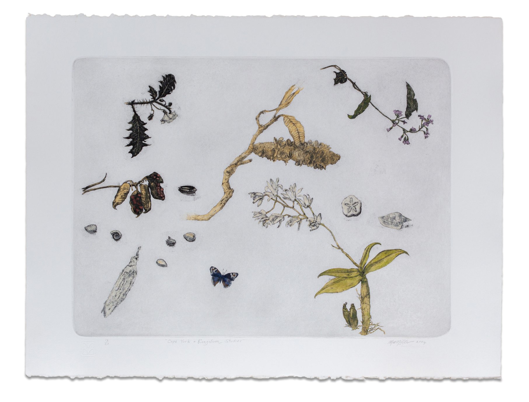 MAX MILLER | Cape York & Kangaloon Studies 2004