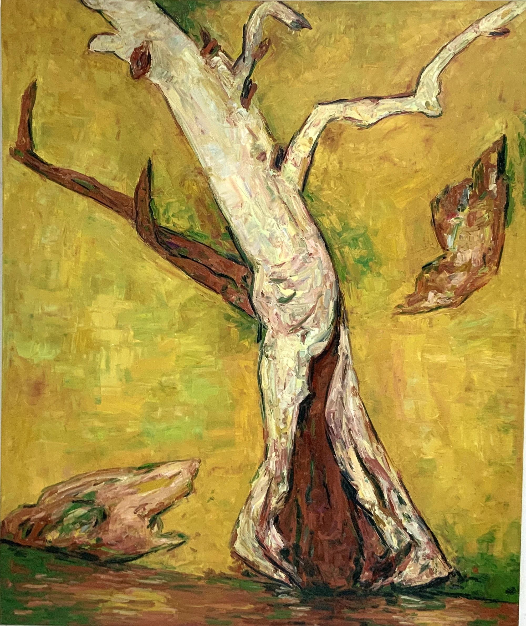 TONY COSTA | ANGOPHORA NO 5