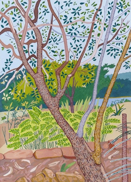 Jacqueline Balassa | Ferns in Sunshine