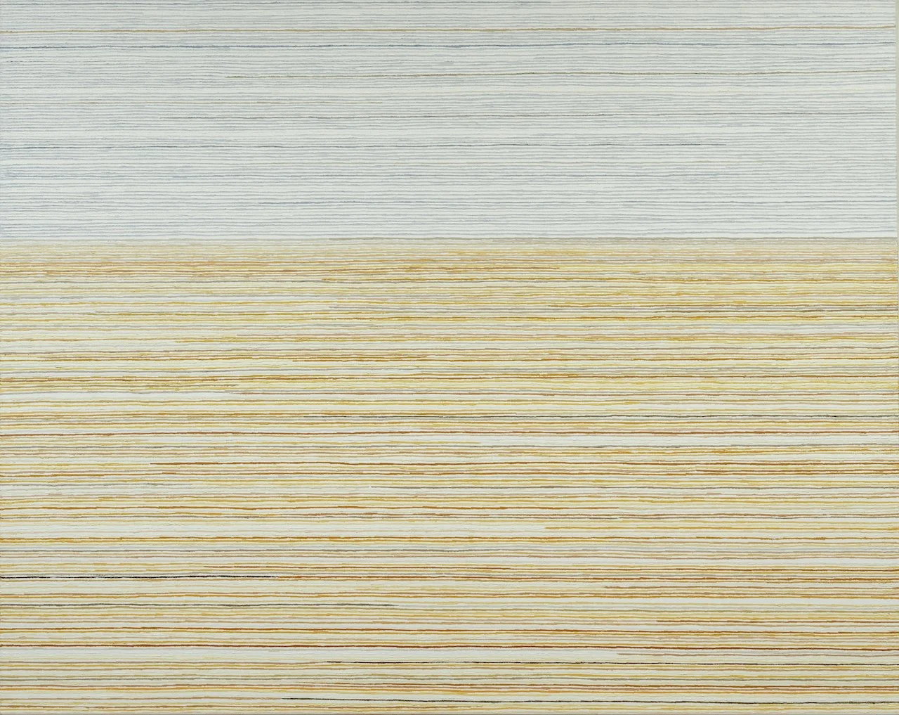 DAVID MIDDLEBROOK | Desert Field and Saltpan