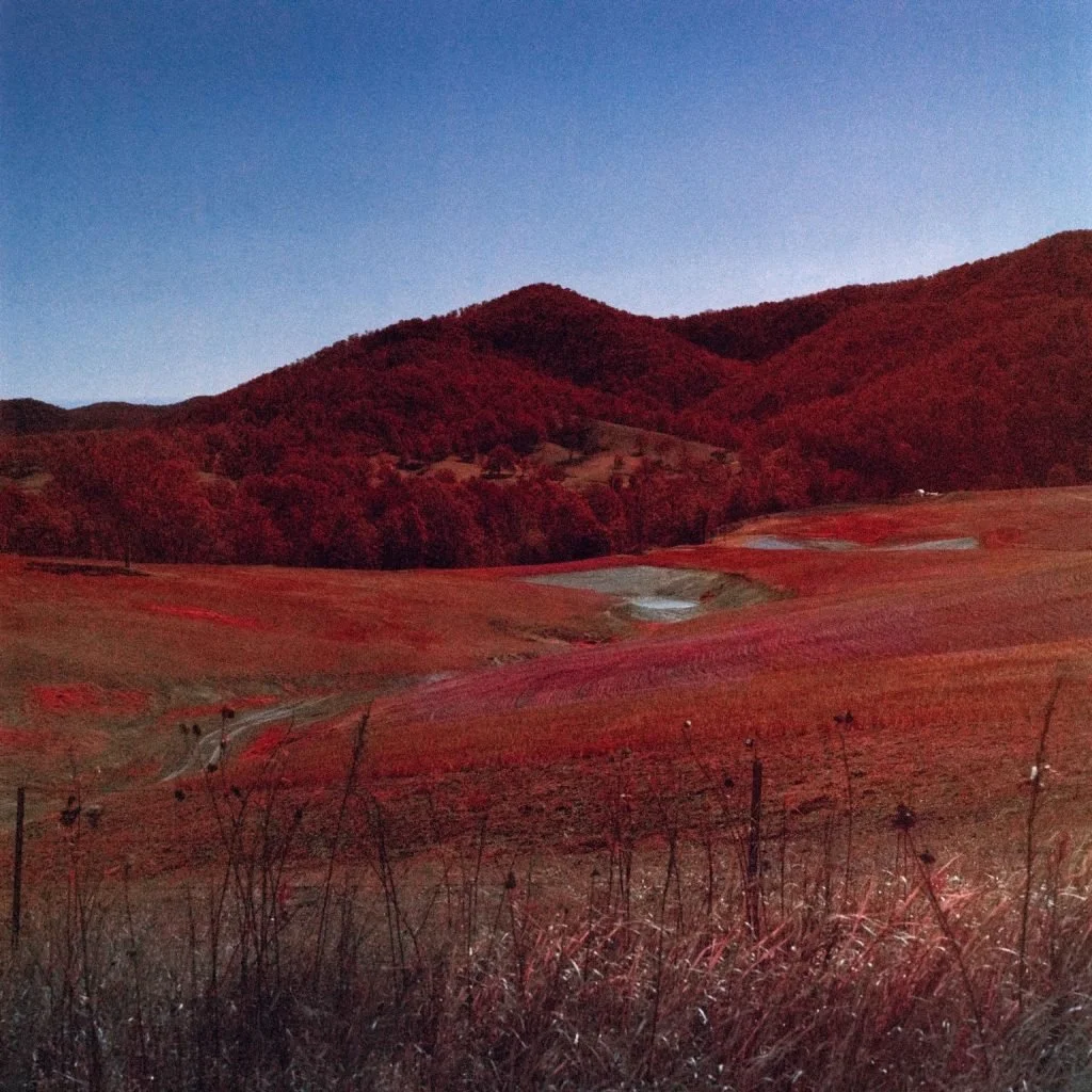 Asher Milgate | The land tells the story