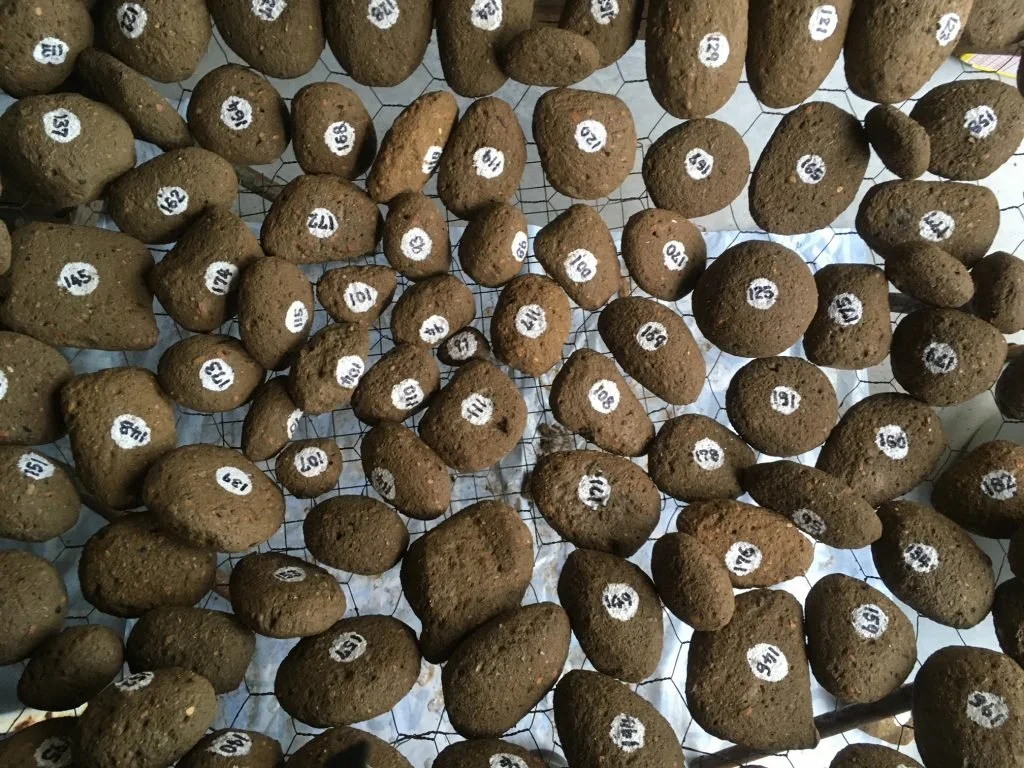 Akira Kamada | Unceded #1 – #205 2023