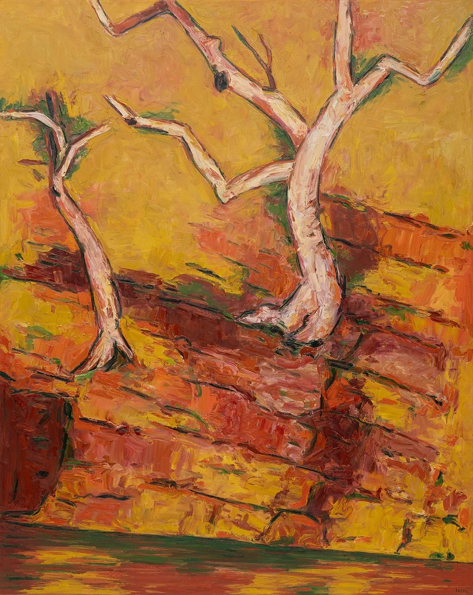 Tony Costa_Angophora No 7.jpeg