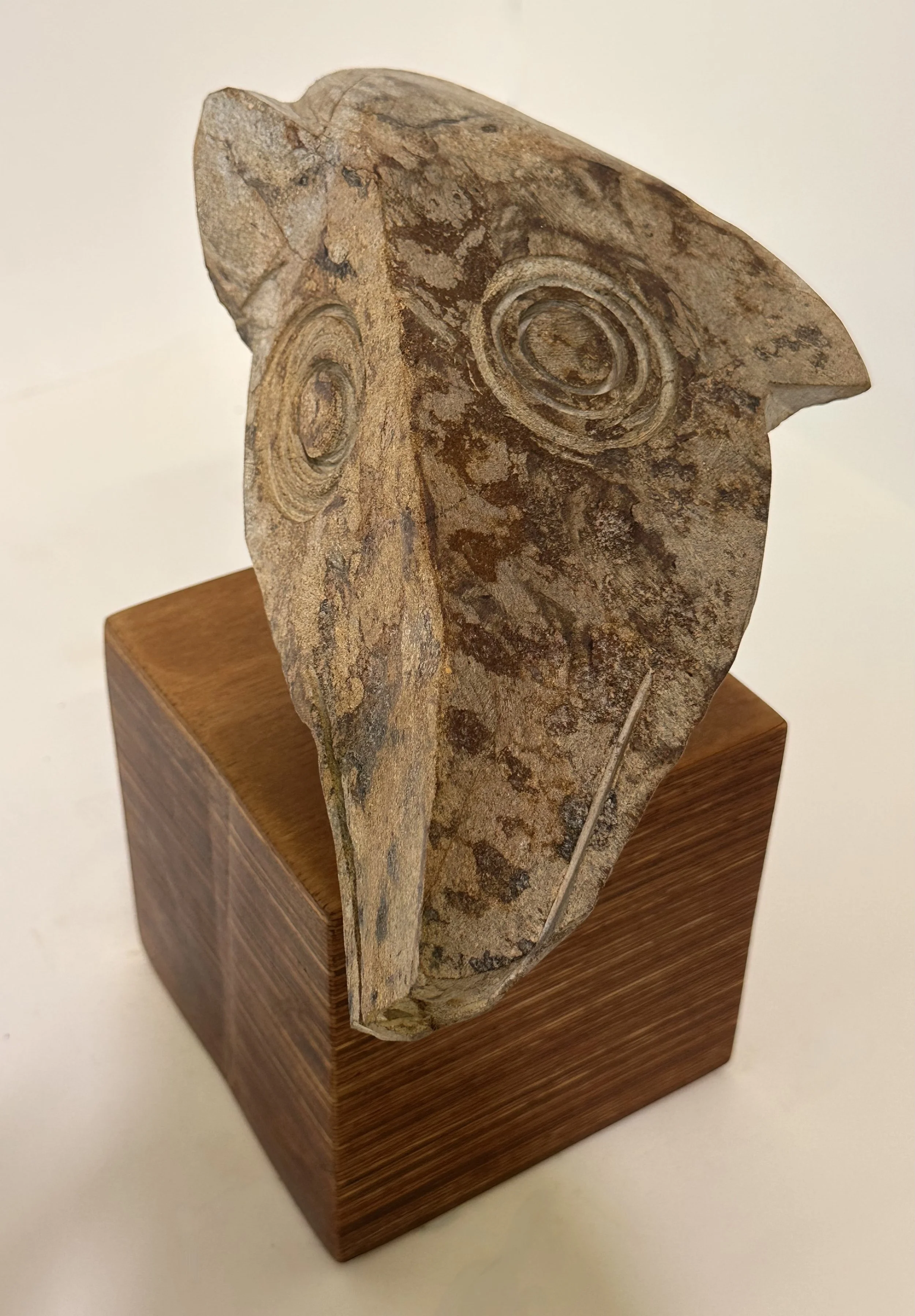 Little dog head_2.jpg