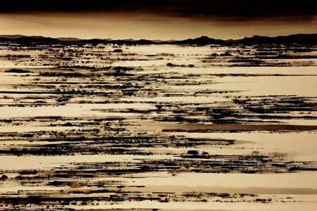 David Middlebrook  | Paroo Overflow