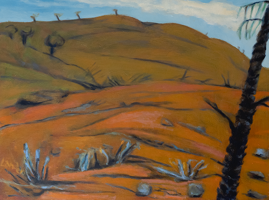 JANIS LANDER | Scorched Earth
