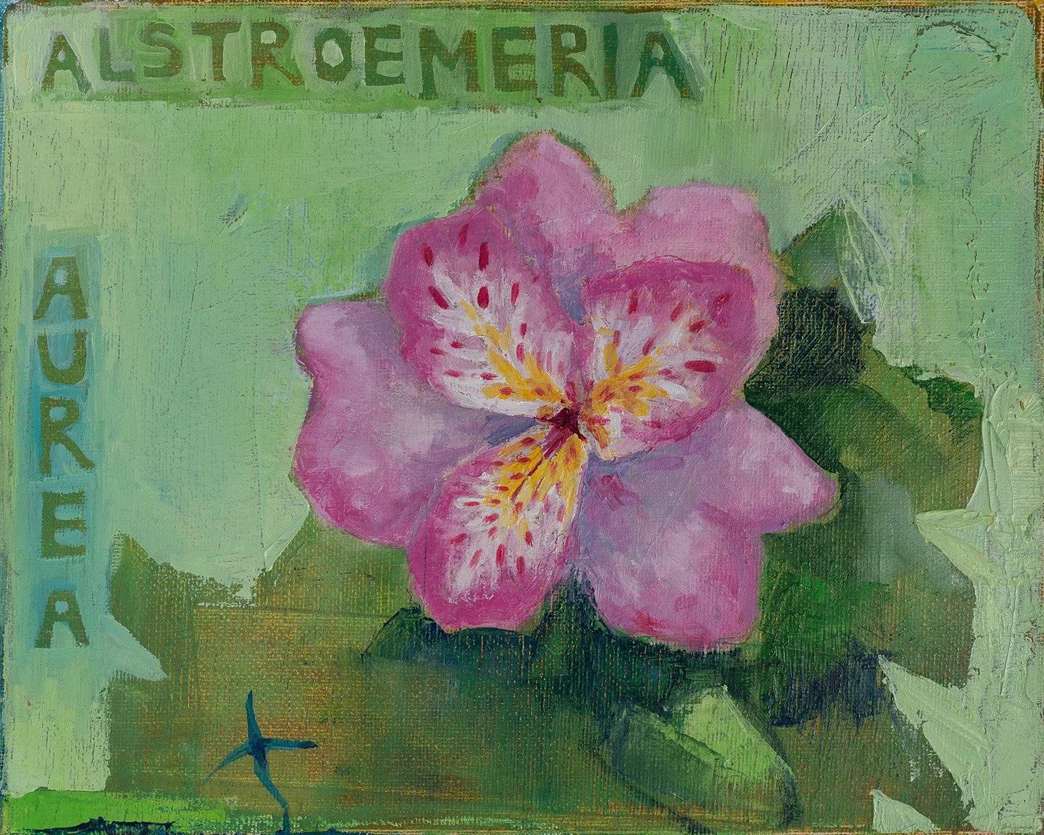 Kaye Mahoney | Flora #28 Pink Peruvian Lily (Alistroemeria aurea)