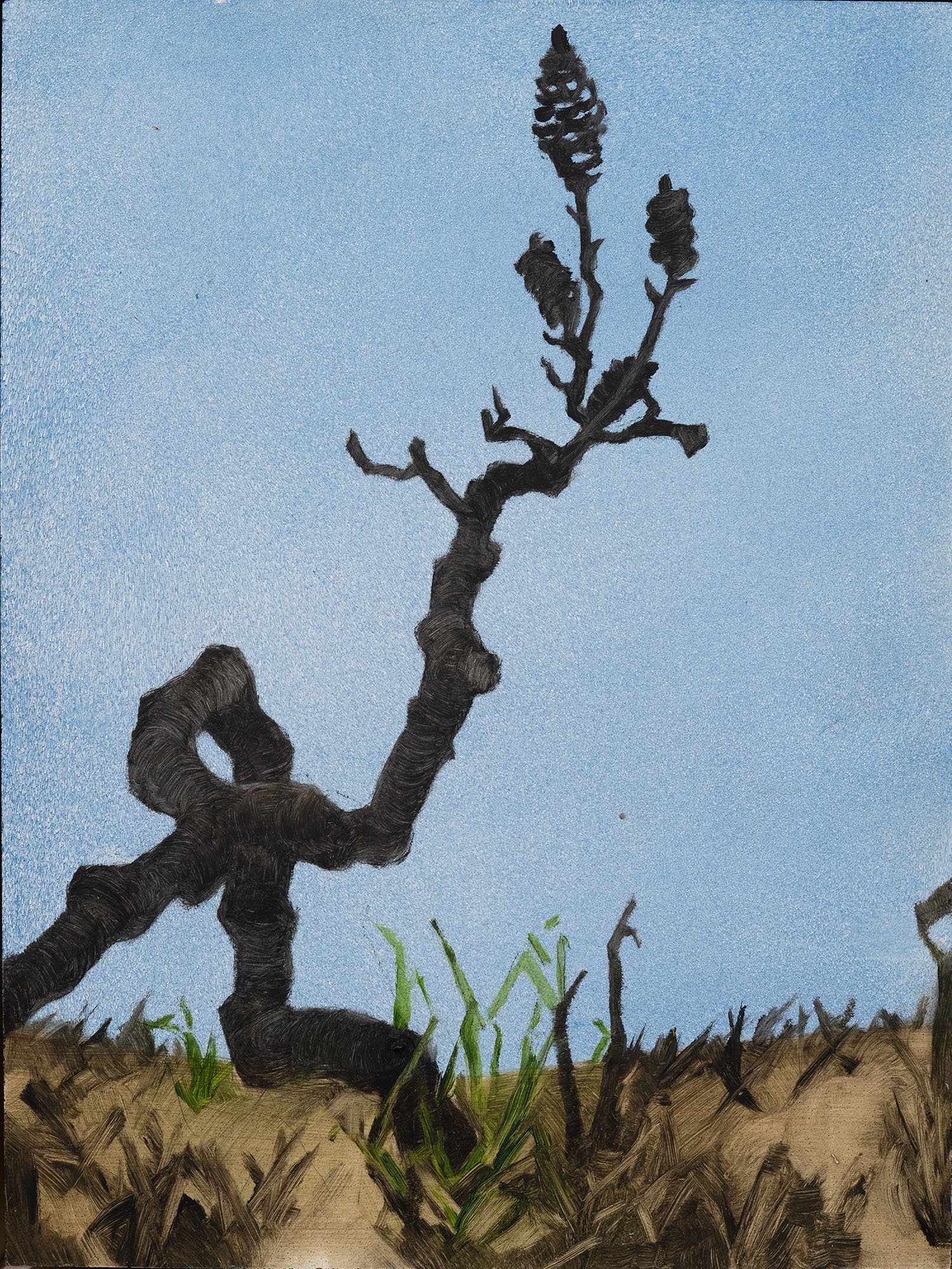 MICHELLE BELGIORNO | A Few of My Favourite Things VI