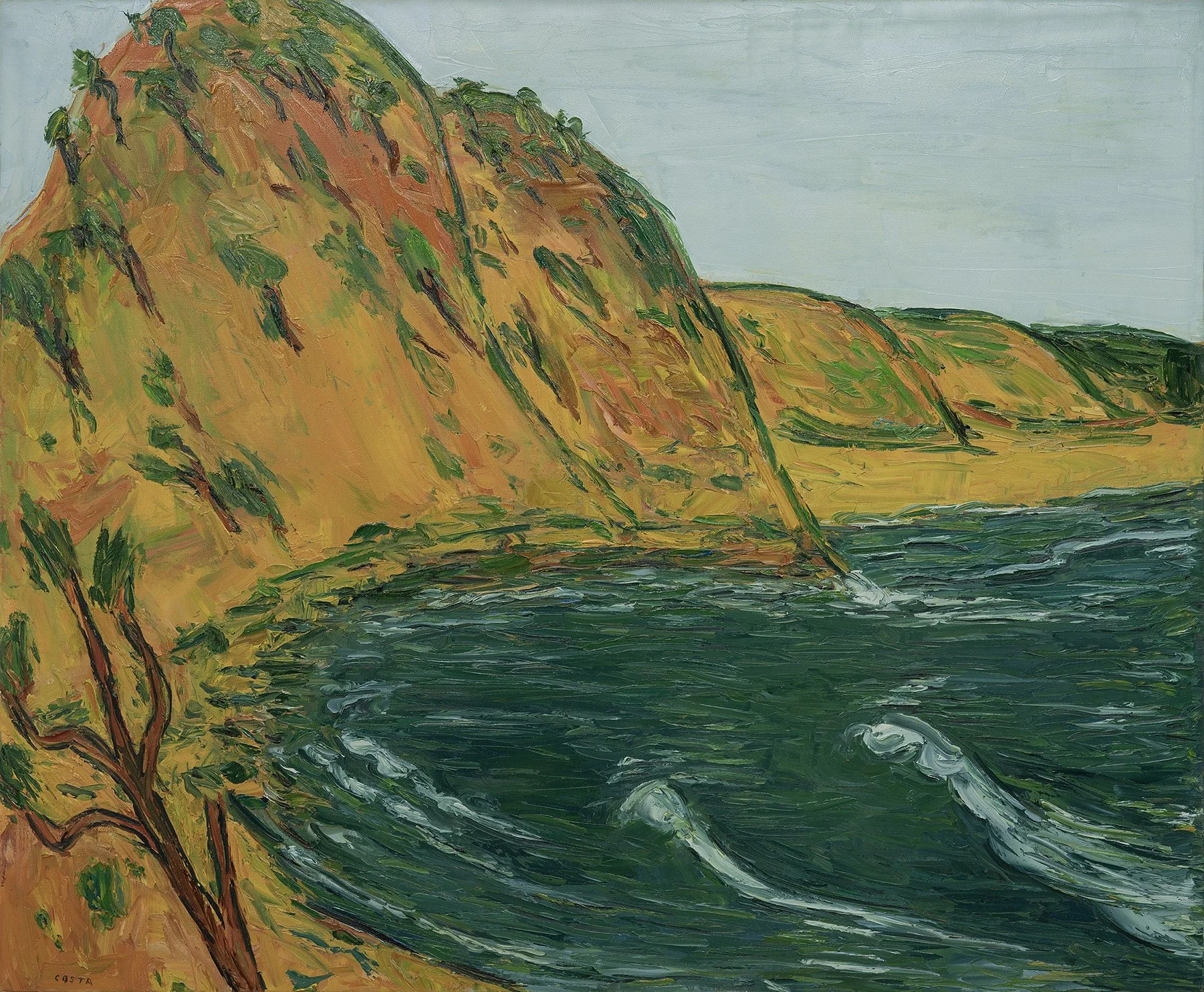 TONY COSTA | Garie Beach and Banksia No. 1