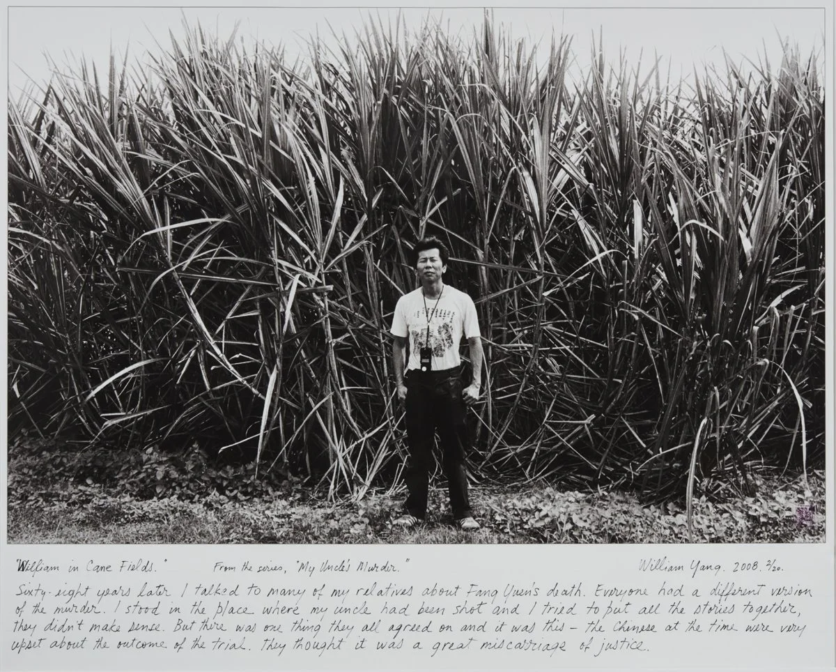 WILLIAM YANG | My Uncle’s Murder 4 – In Cane Fields
