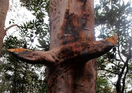 JASON WING | Mum’s going to put it all back the way it ought to be