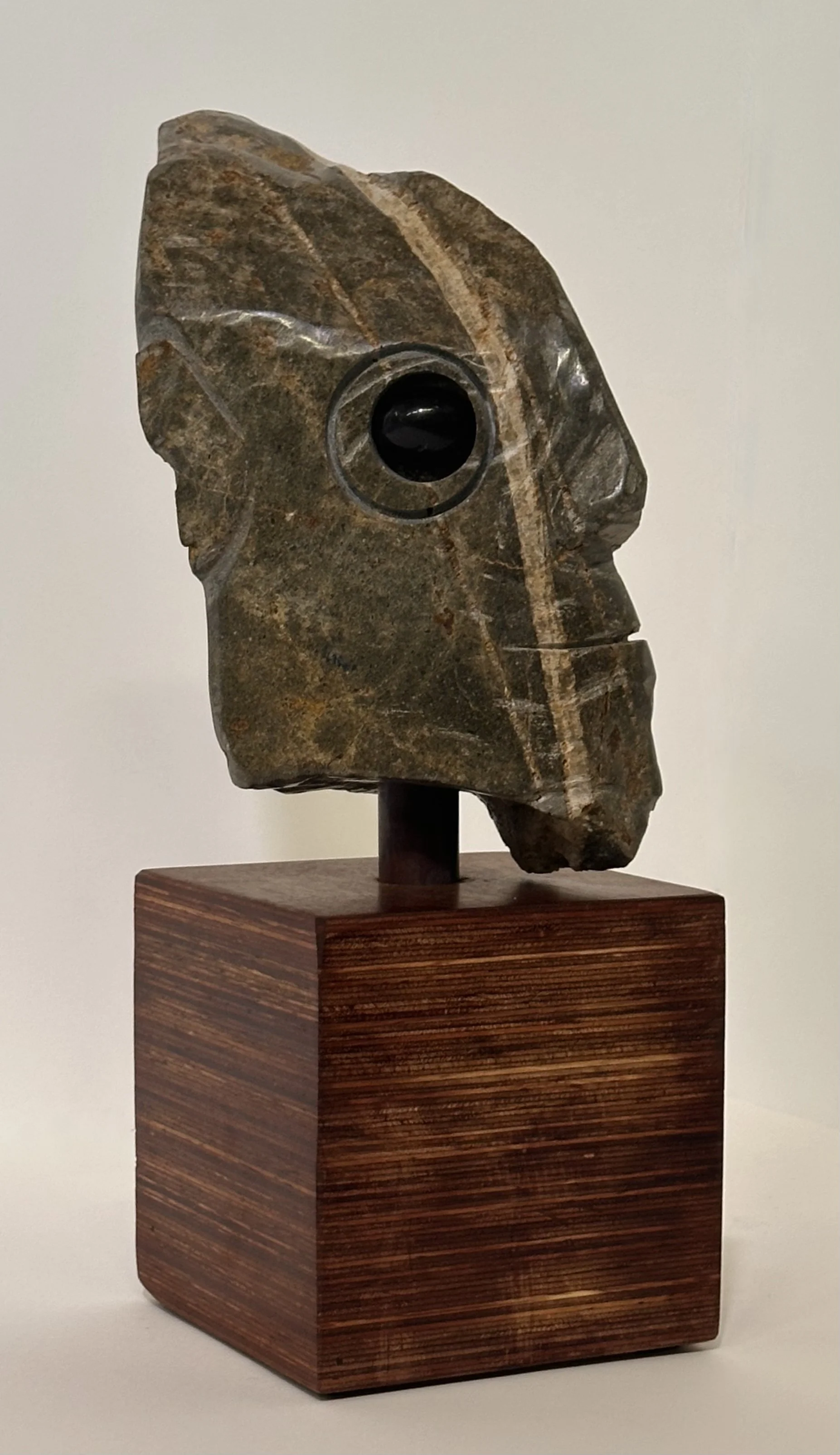 Carlos Barrios | Dolphin man 3